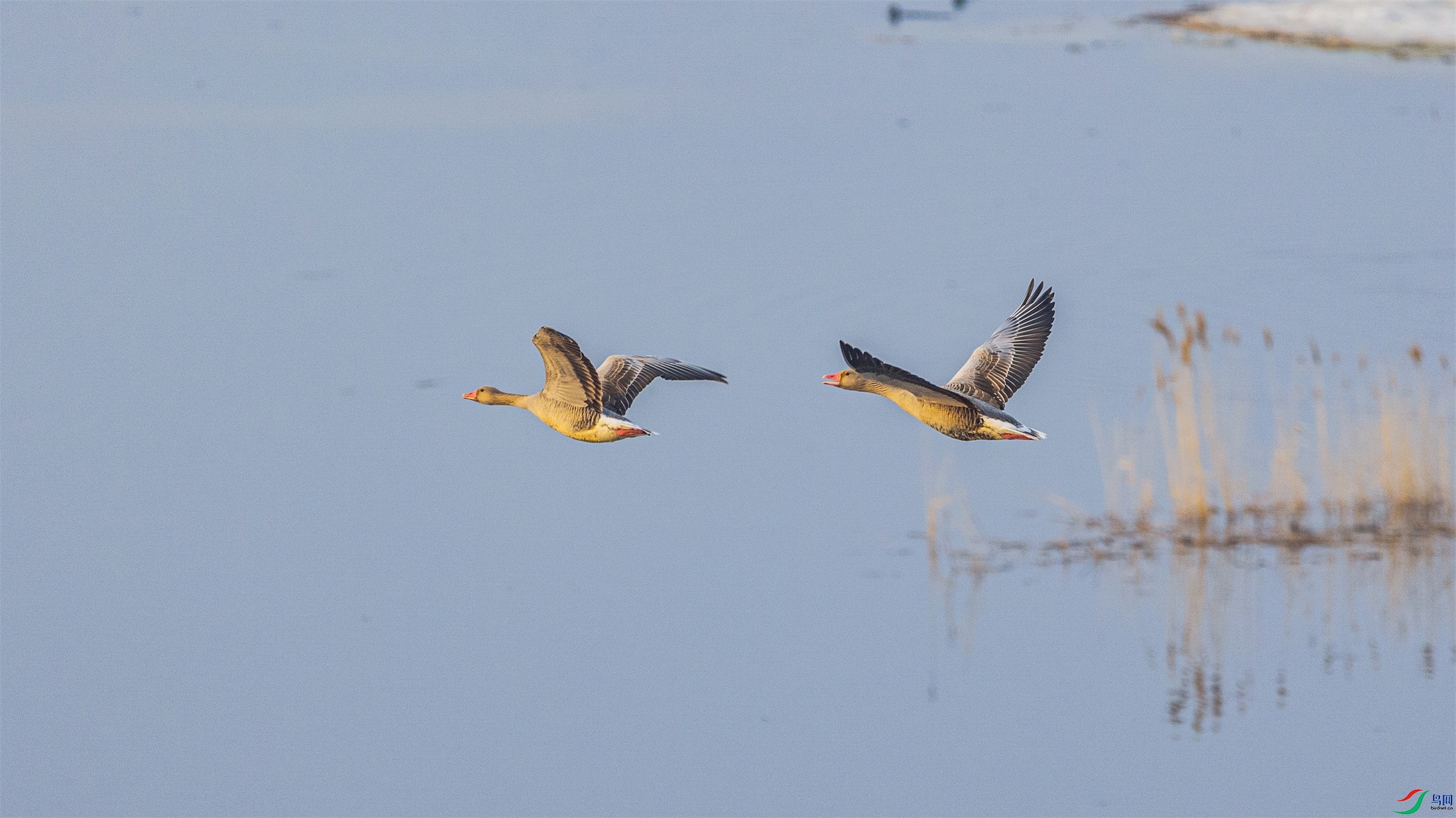 1K3A3955 ����1.jpg