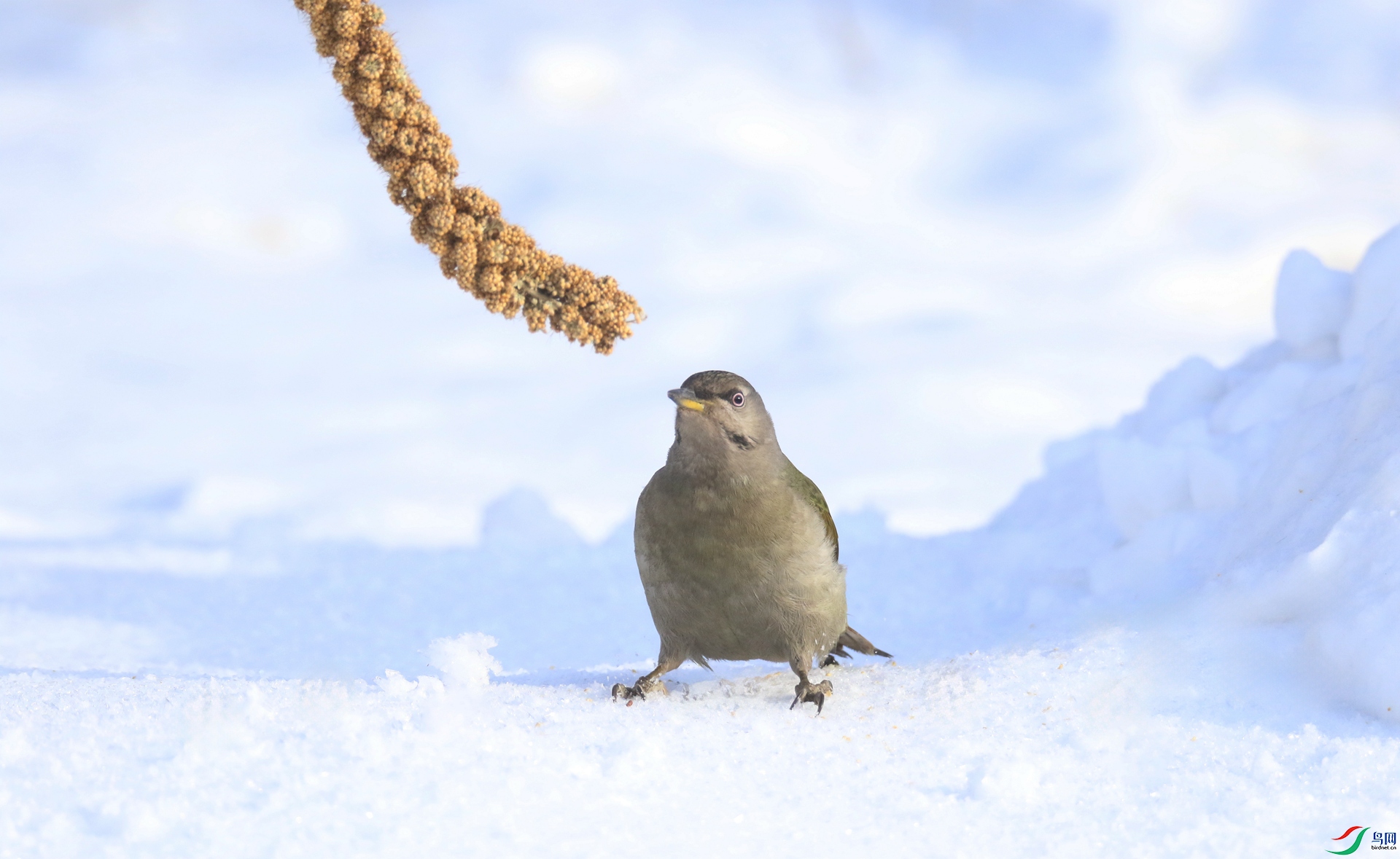 0G1A1942 ����.jpg