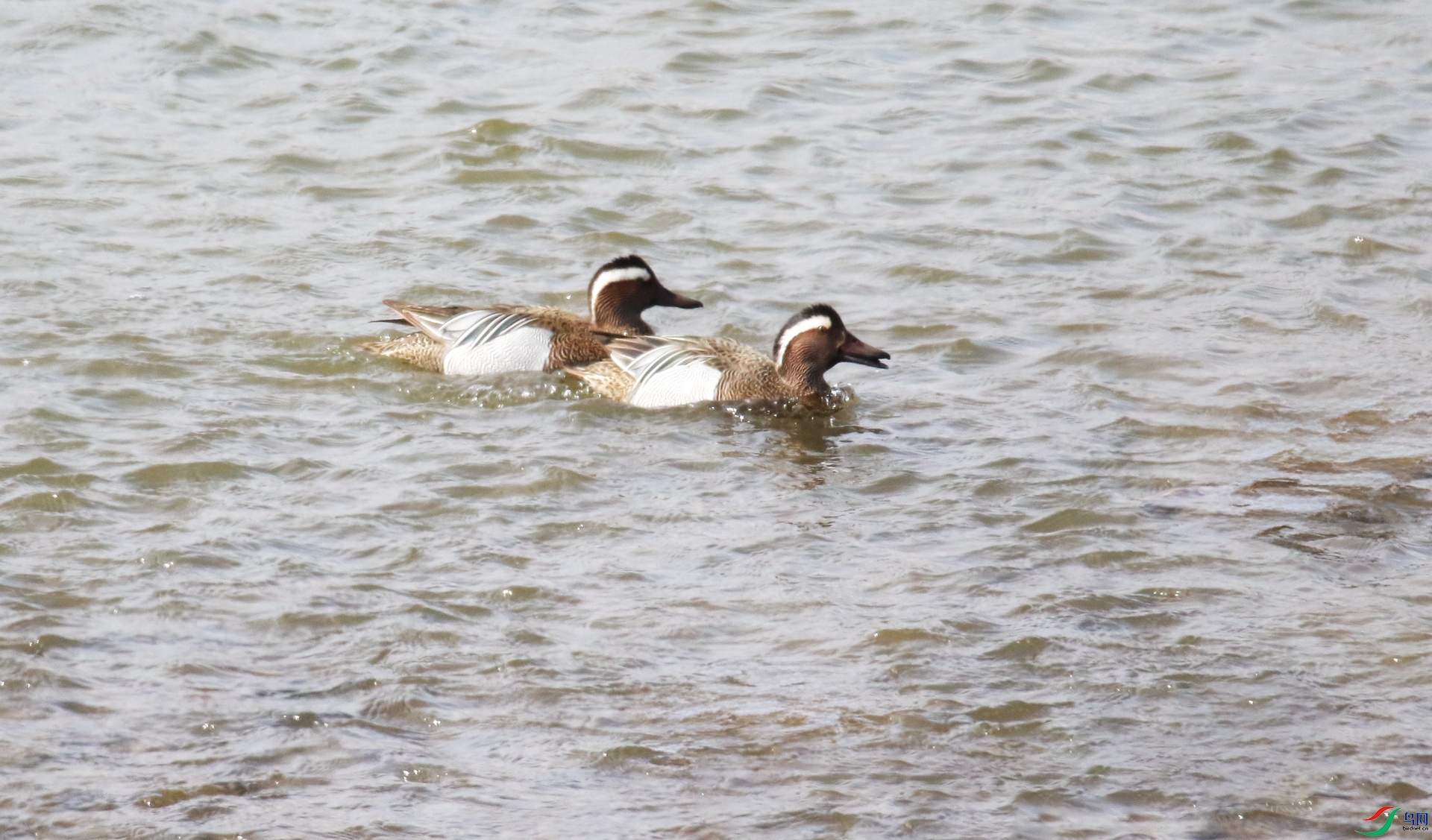 0G1A2354 ����.jpg