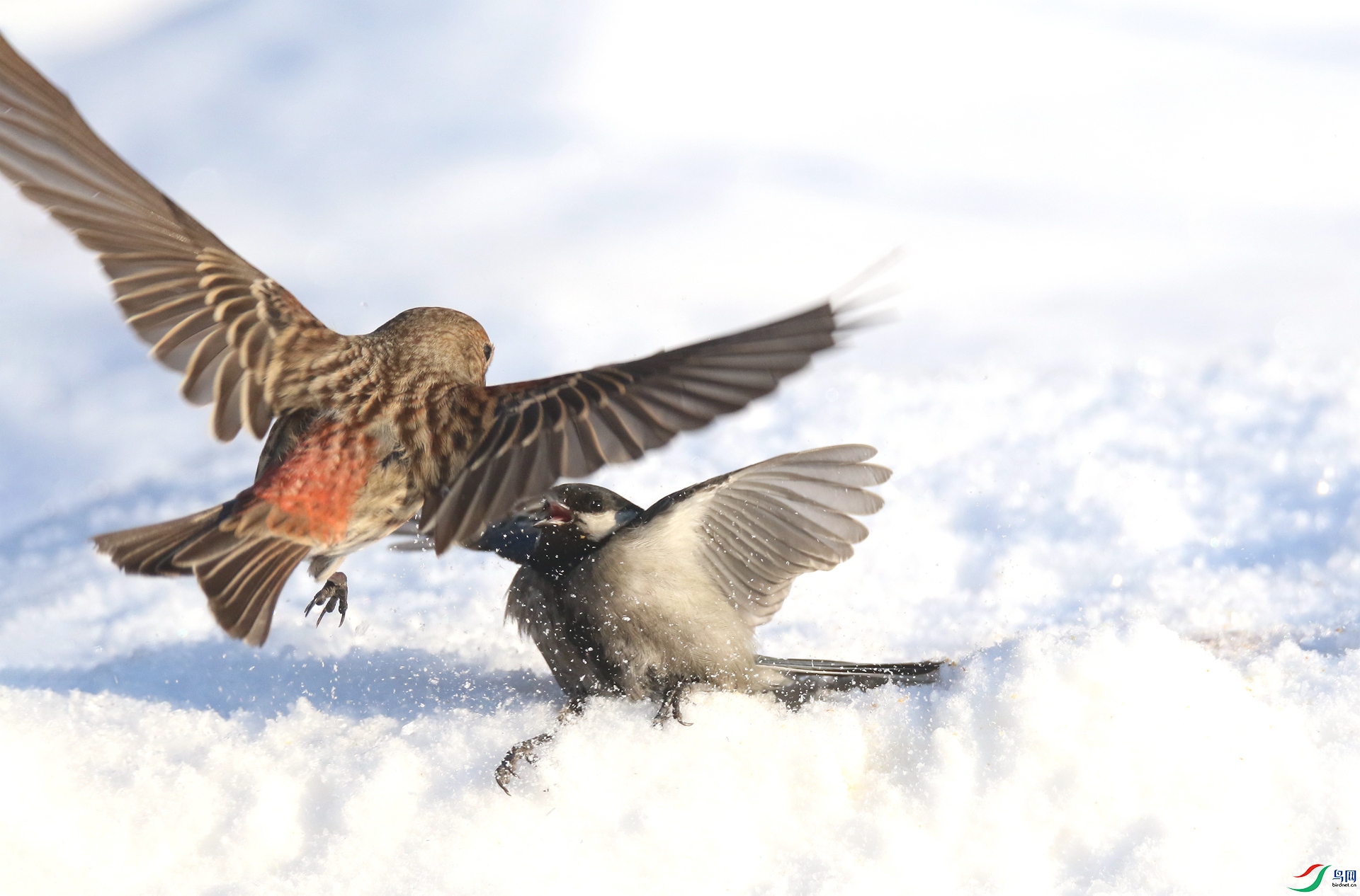 0G1A4243 ����.jpg