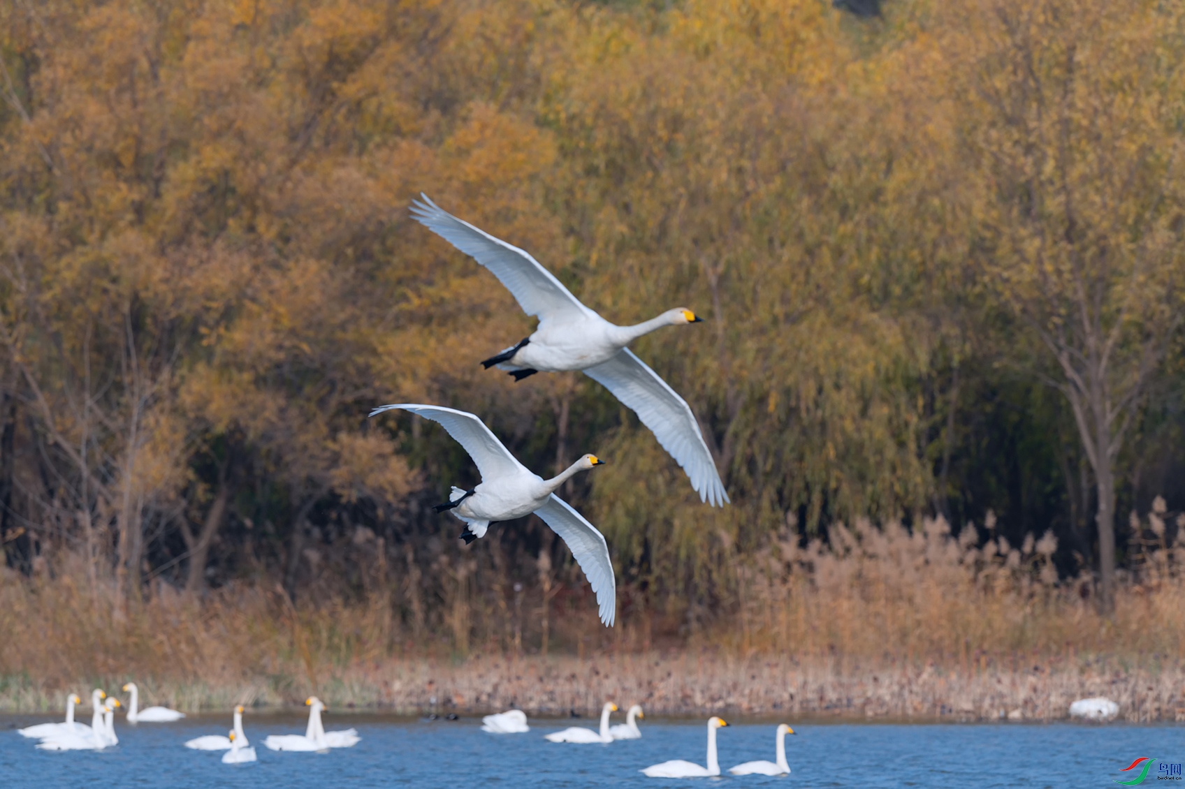 DSC_4913_DxOa.jpg