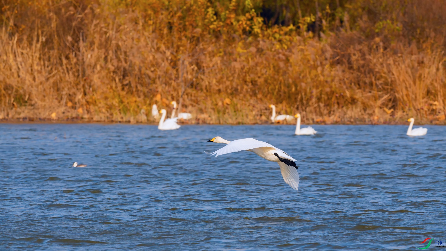 DSC_4866_DxOa.jpg