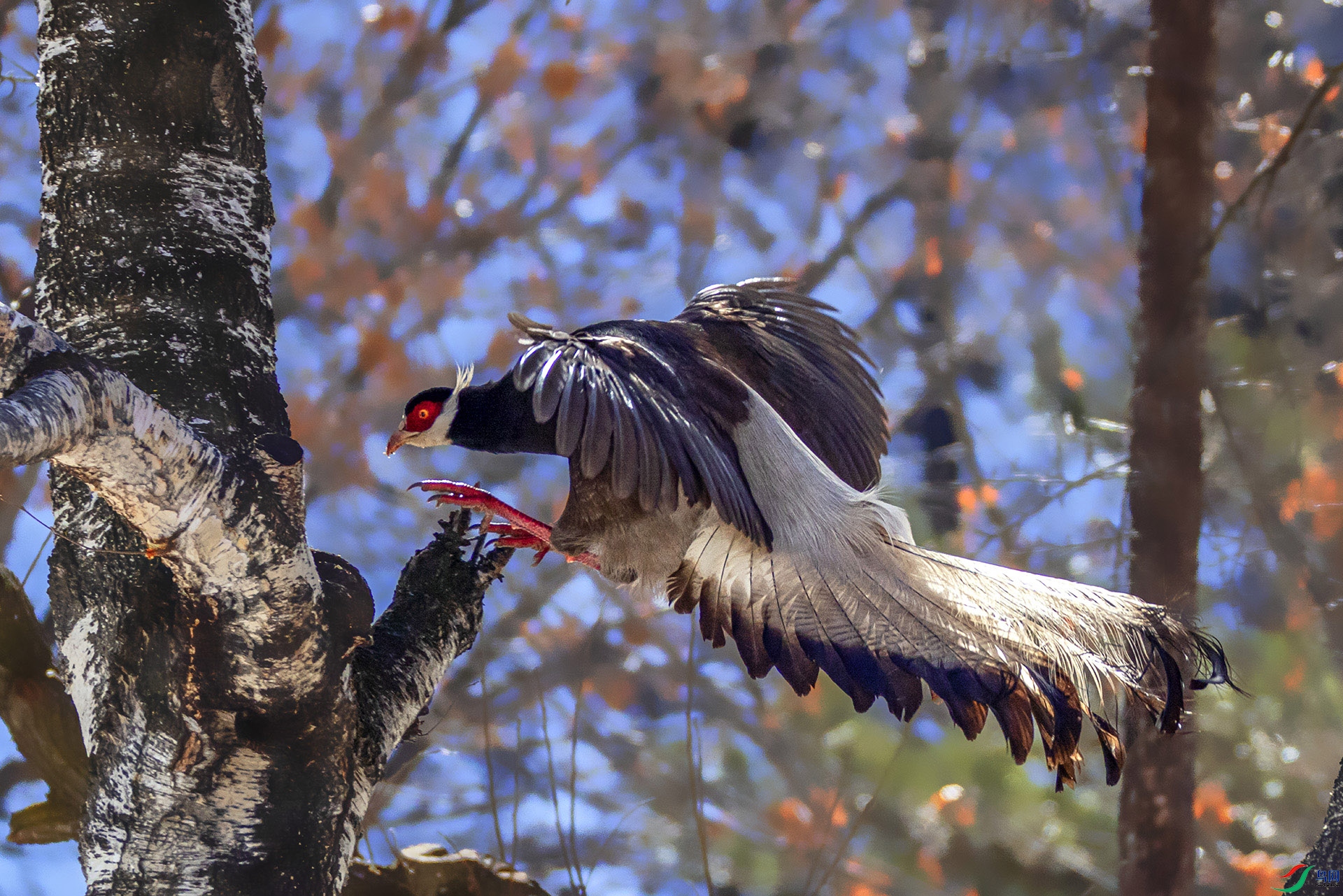 _07A9268 ����-----1  .jpg