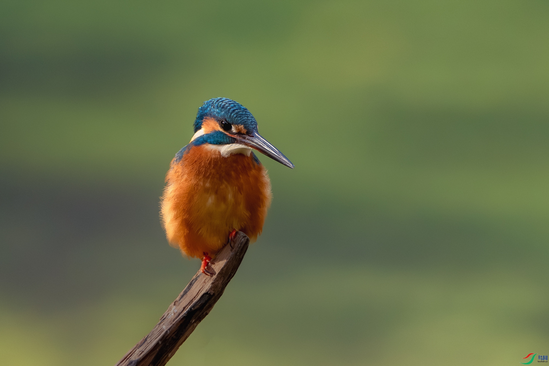 _DSC0720-����ǿ-NR ����.jpg