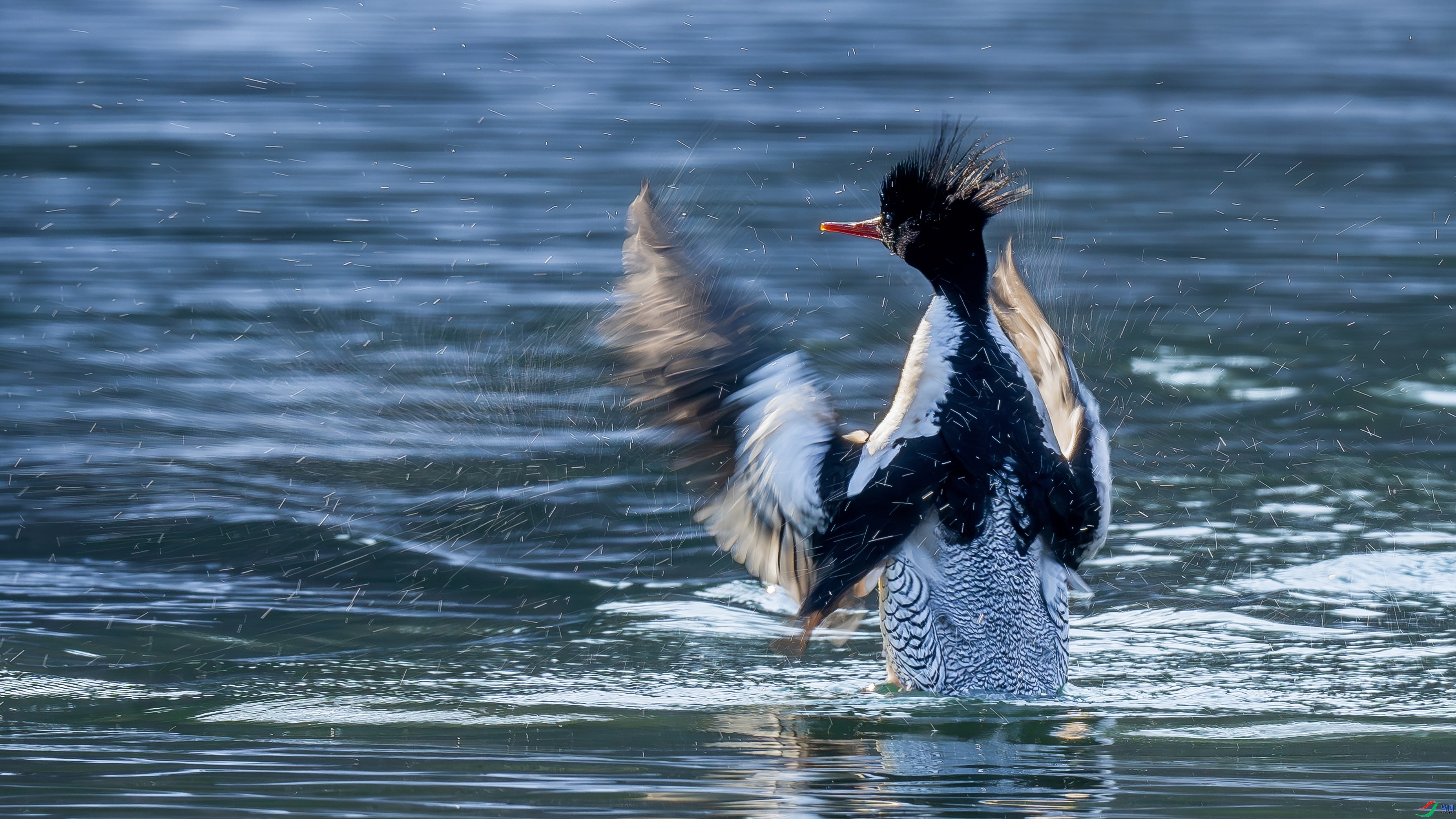 ÿ�ռ��� Ѽ  ���� ������ ����.jpg