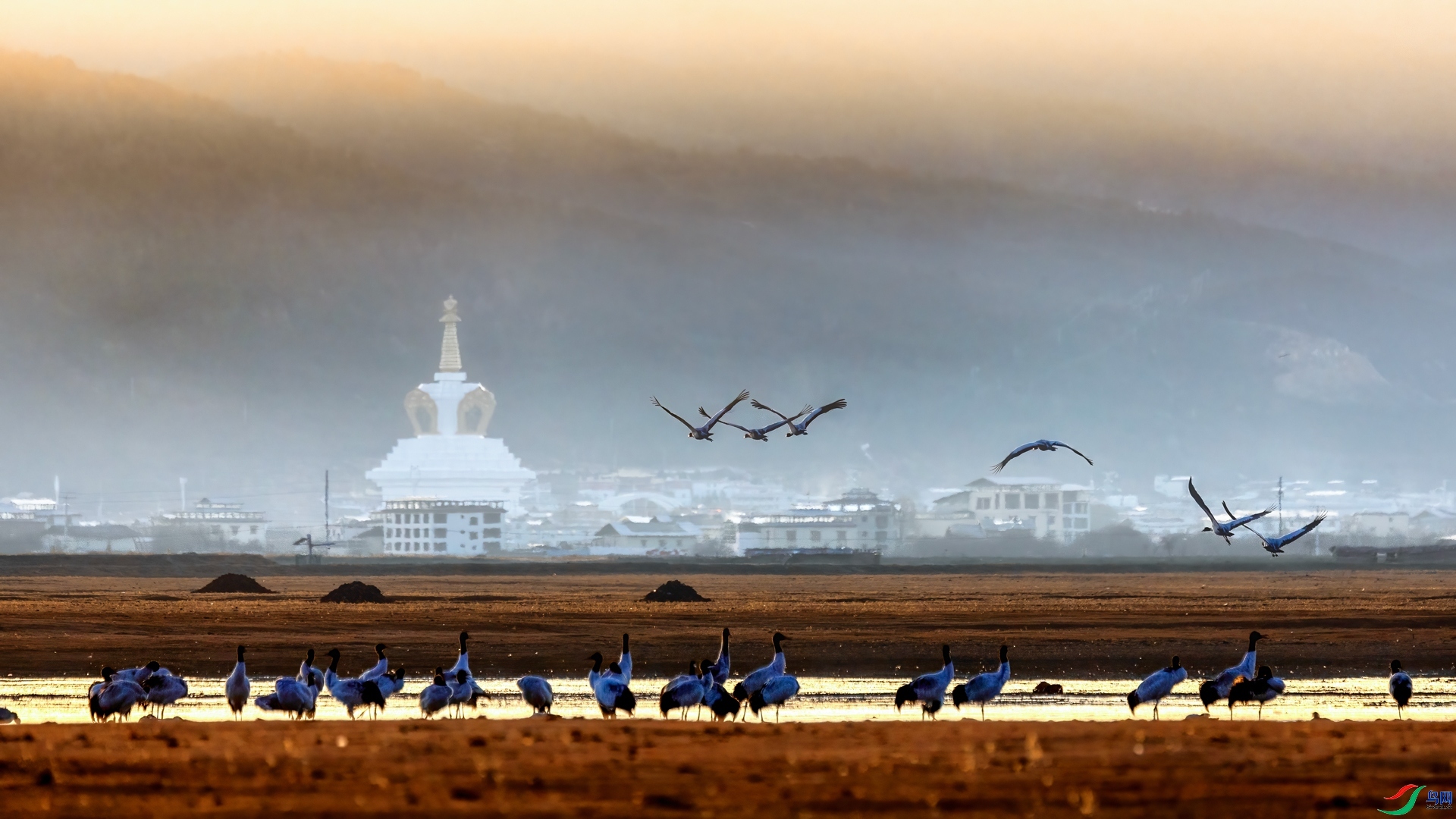 ÿ�ռ���  ��԰  ���� ��־���� ����.jpg