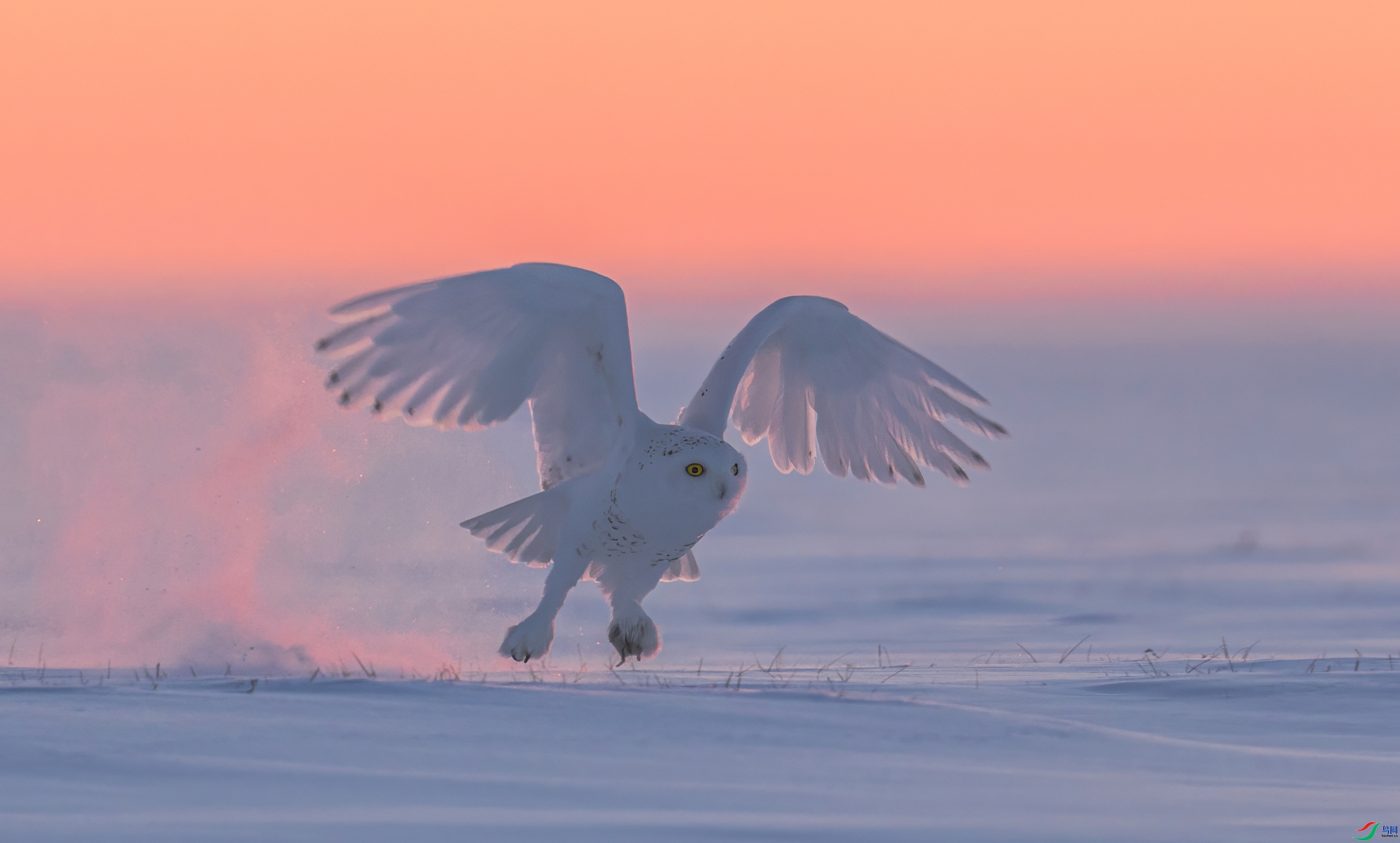 ϼ���^Ӱ  ���� �ܷ� ��һ.jpeg