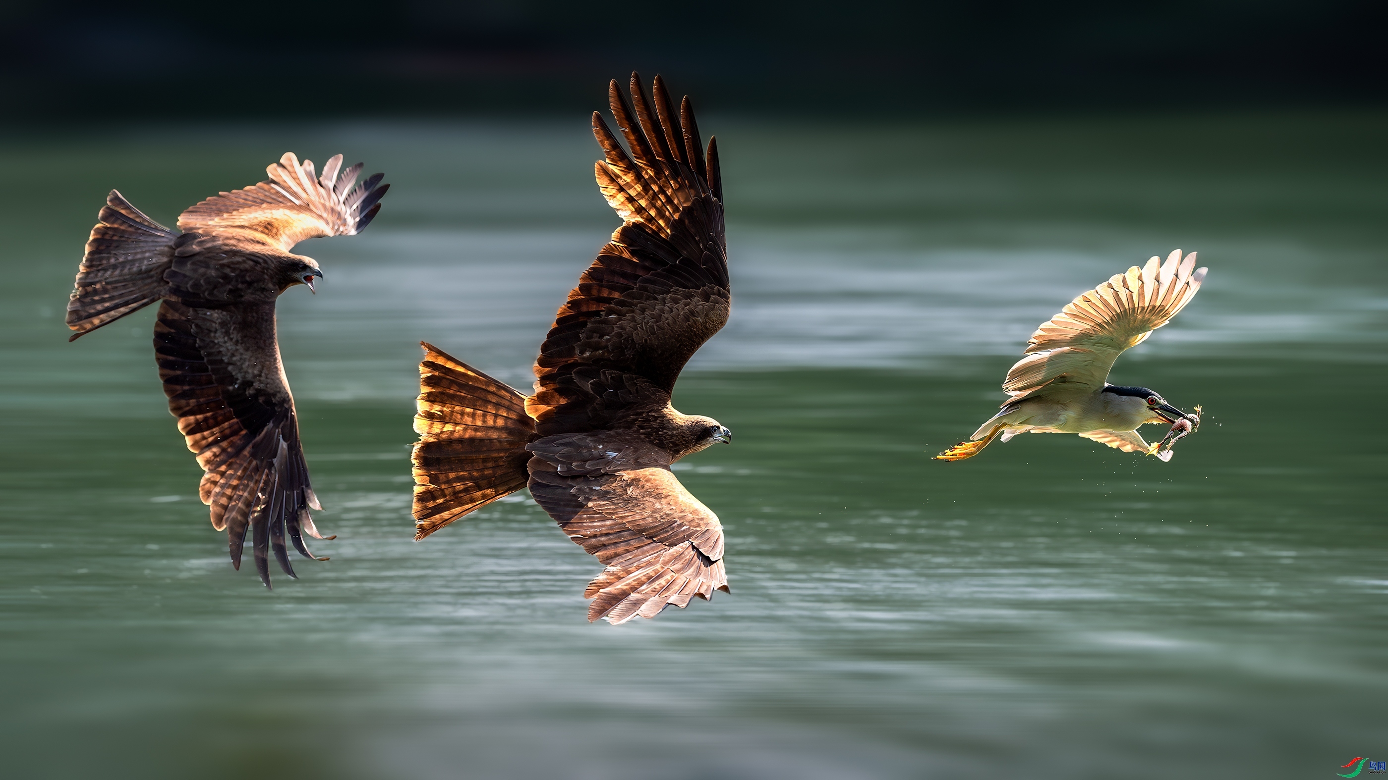 ����ʱ�� ���� ����Ӱ ��һ.jpg