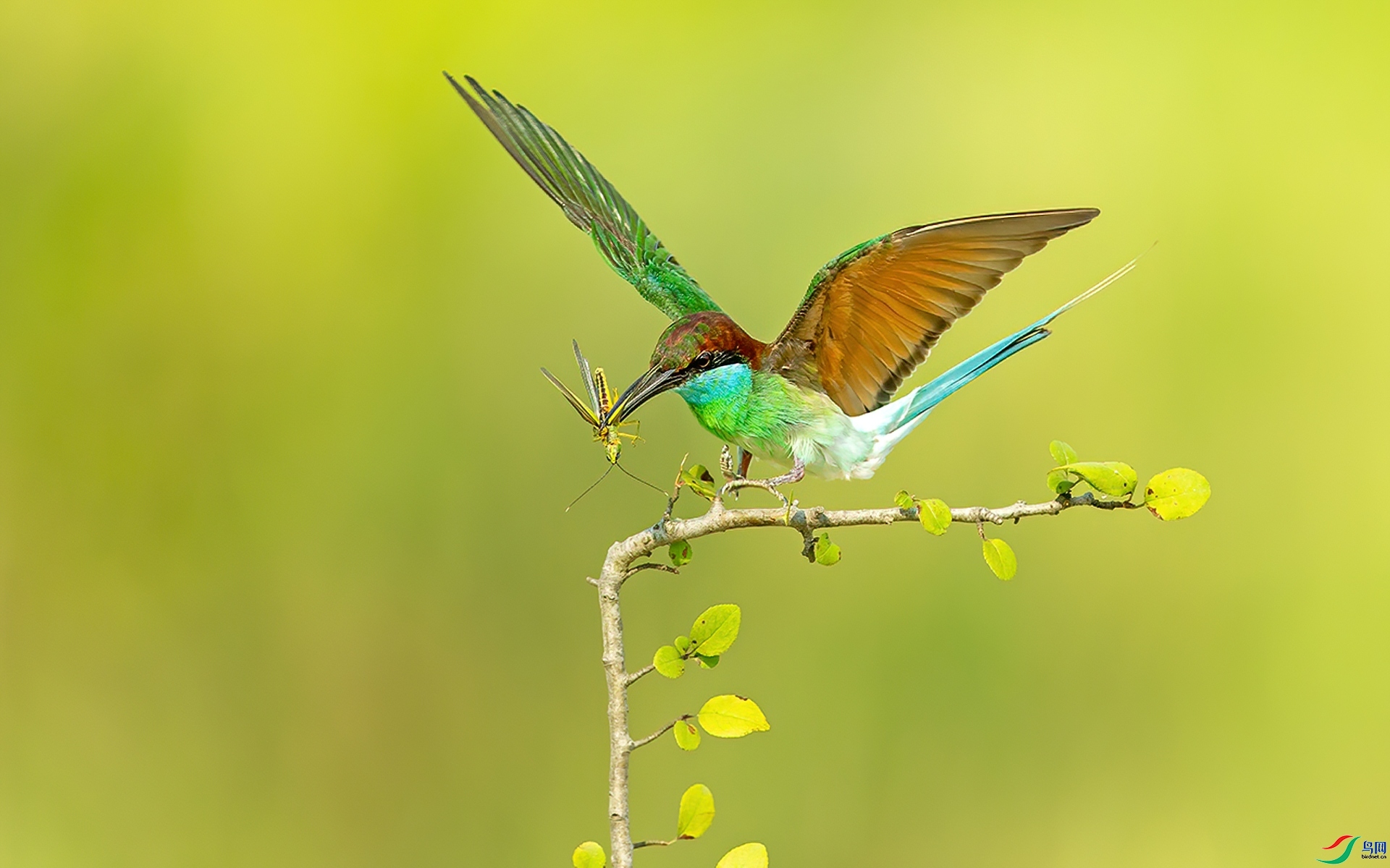 �����仢 ���� л���� ��һ.jpg