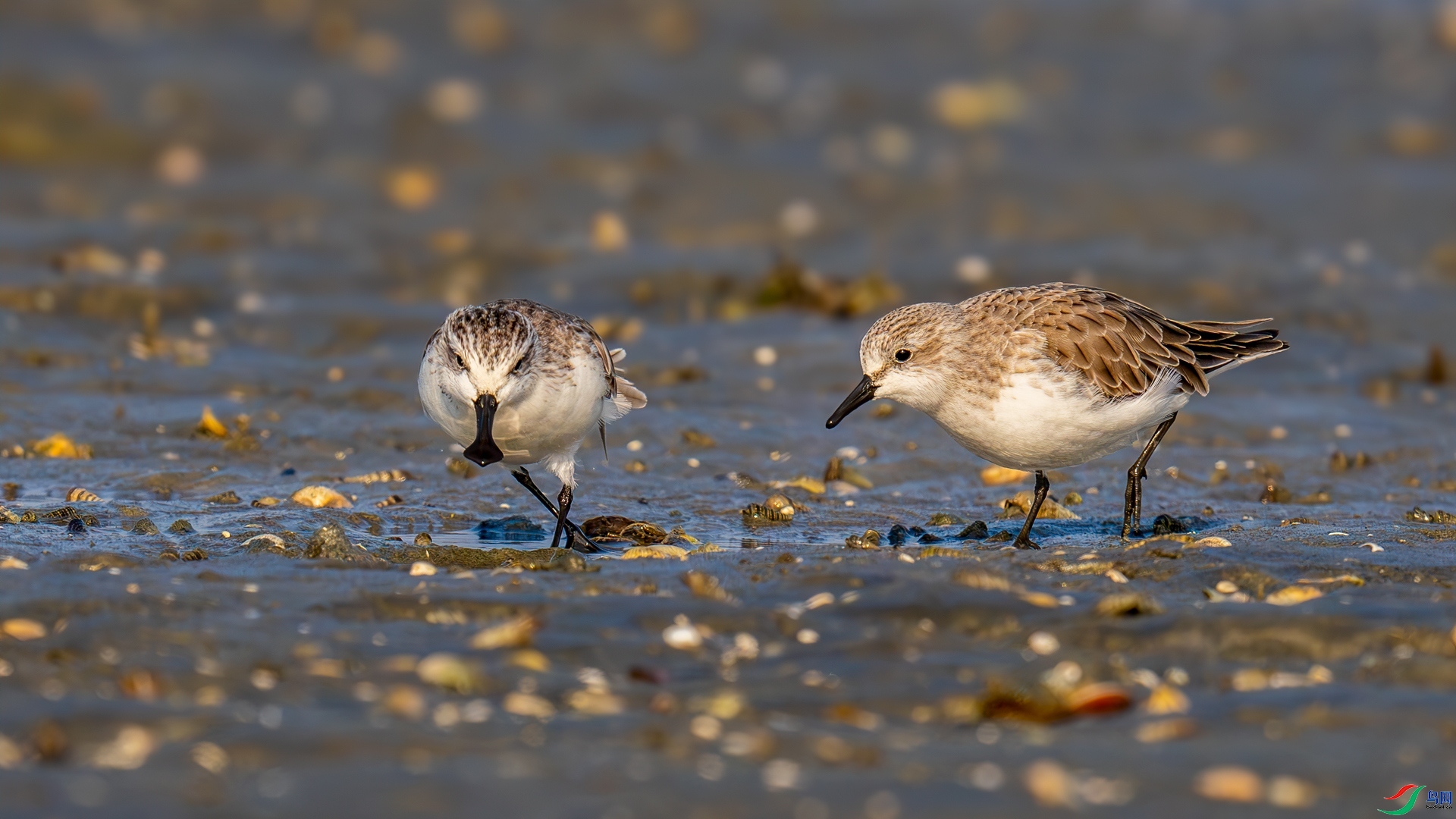 ����һ����ؿ�  ���� �������� �ܶ�.jpg