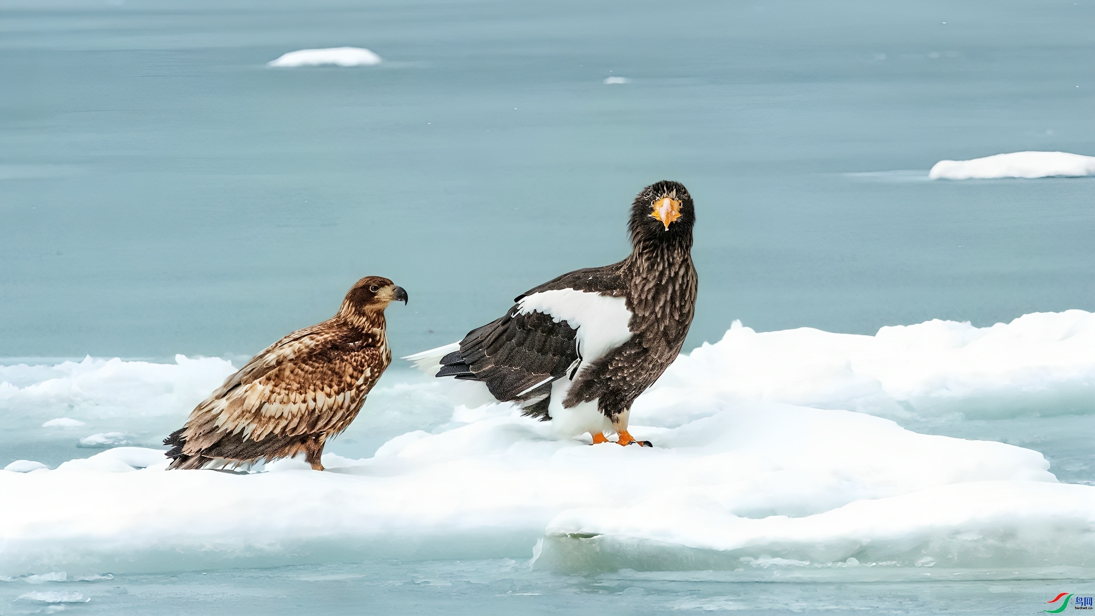 ��嫱�������������� ���� СС�ո� �ܶ�.jpg