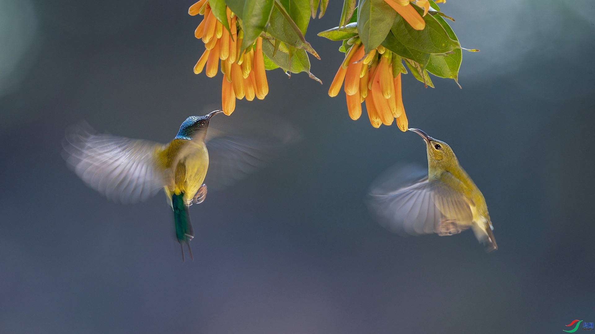 ˫��˫�� ���� Դ����Ȼ ����.jpg