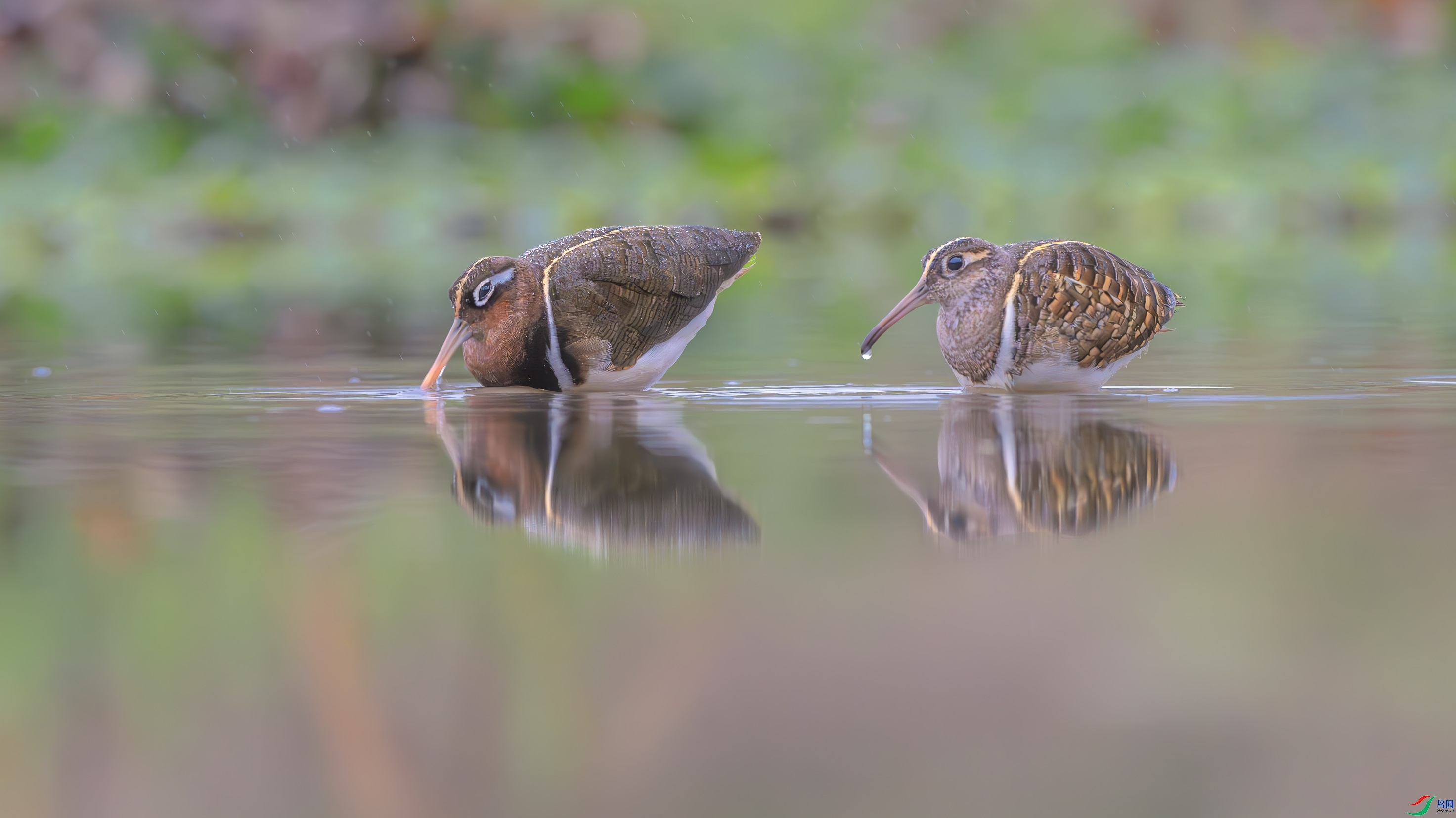 ���ⰻȻ ���� ���� ����.jpg