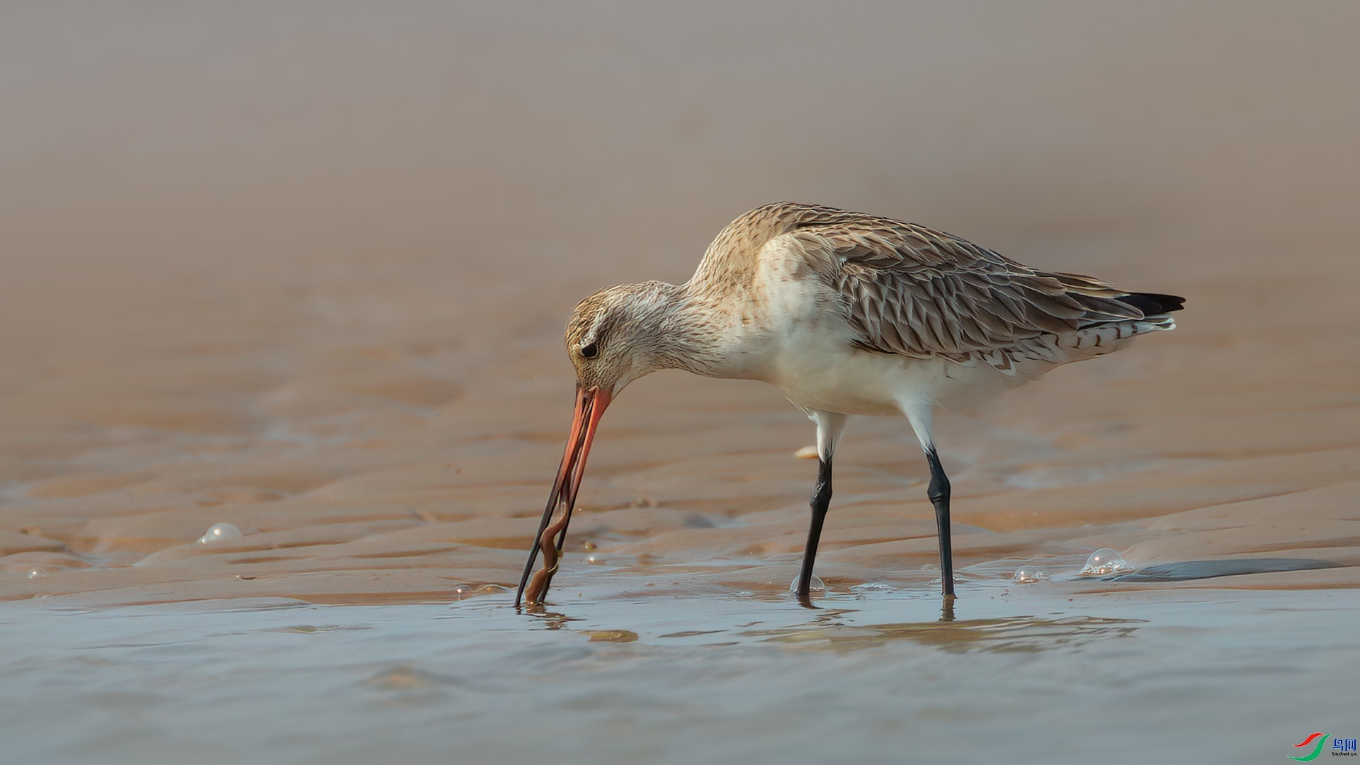 ������ó�  ���� ���� ����.jpg