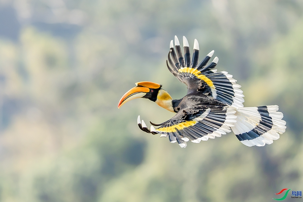 ����ǰ��  ���� ����.jpg