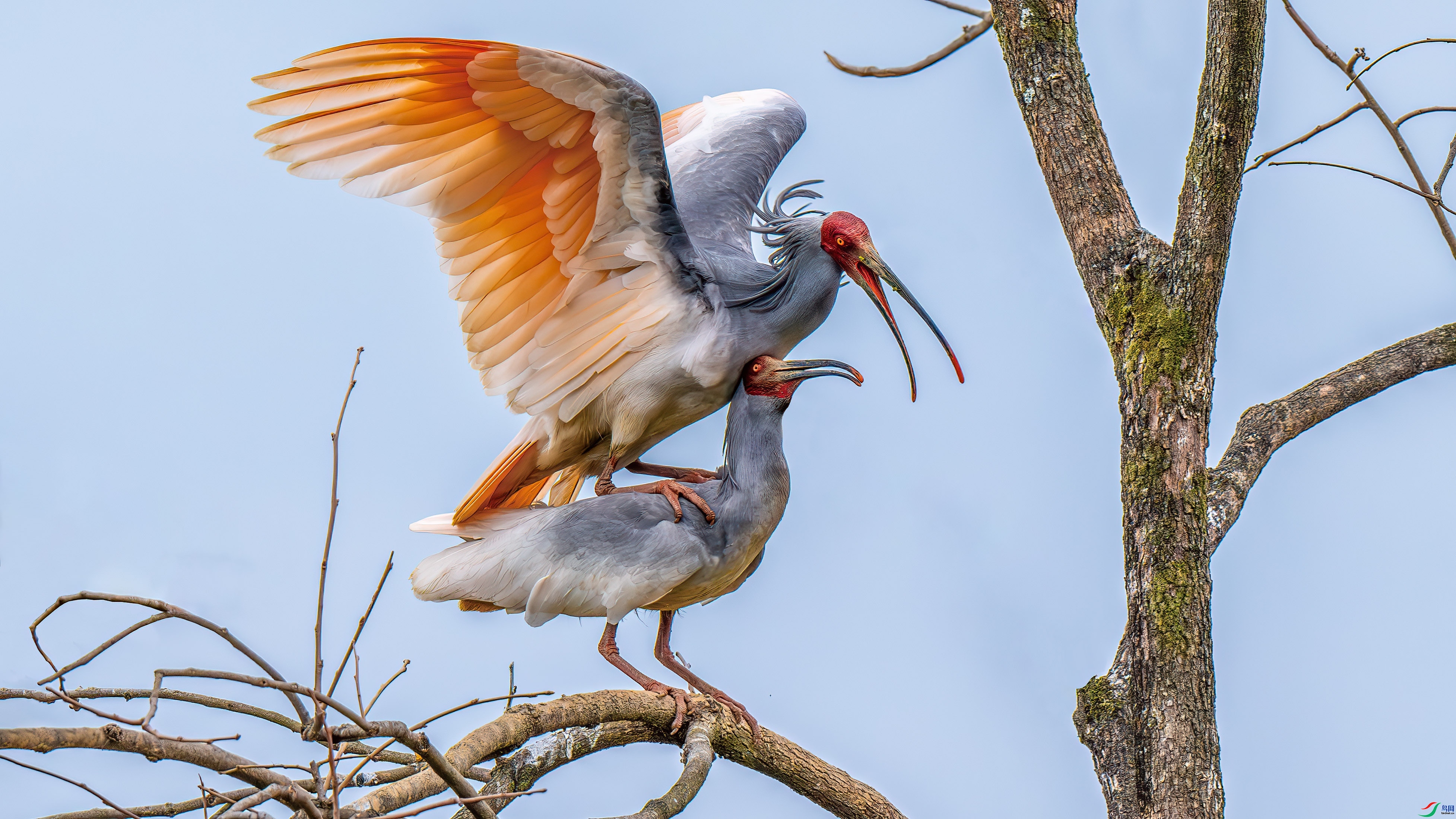 ������  ���� ��ѧ�� ����.jpg