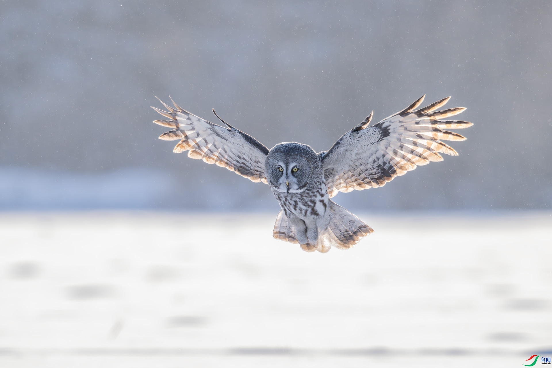 Ѳɽ ����   ����.jpg