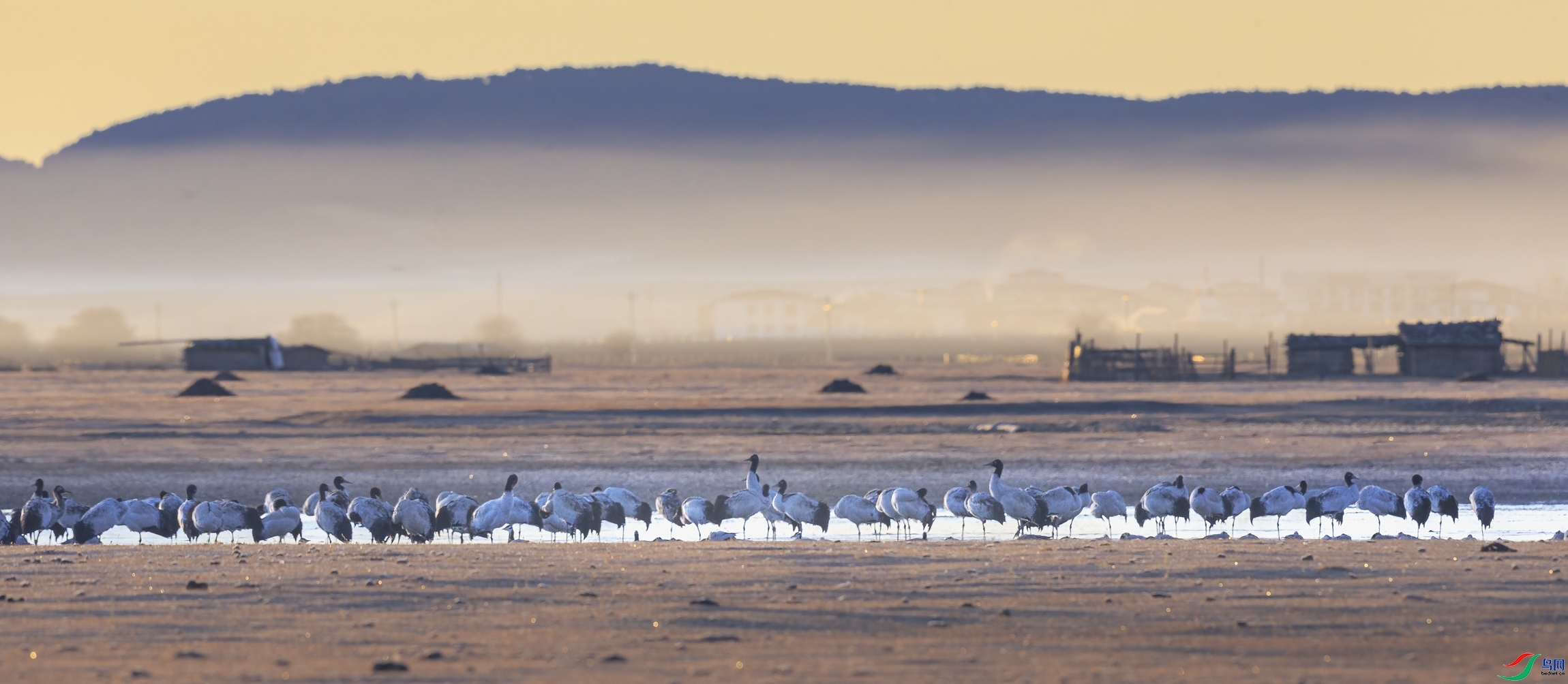 �ھ��׼�Ⱥ  ���� ��ͥ�Ų�YES   ����.jpg