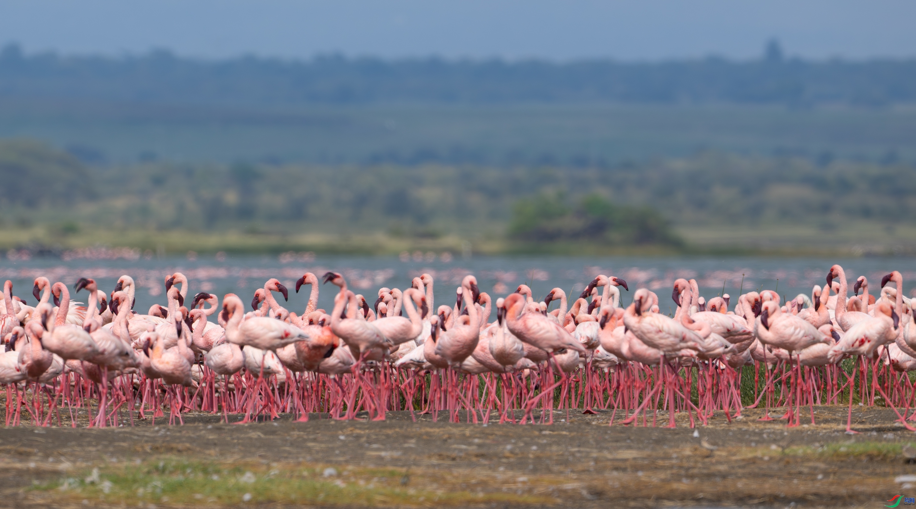 ��԰  ���� ��Ͽ֮�� ����.jpg