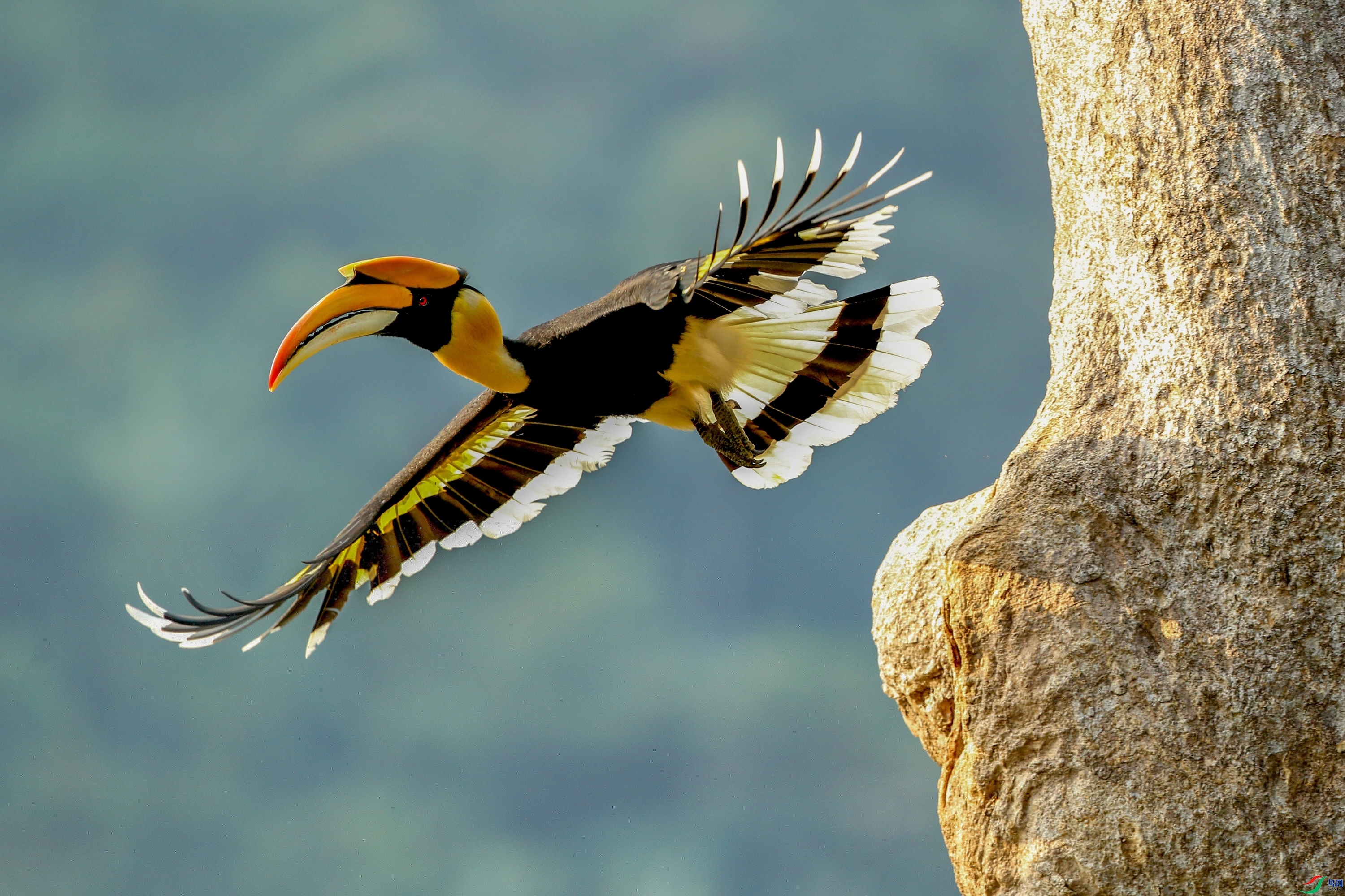 �ϰ���  ���� ��������  ����.jpg