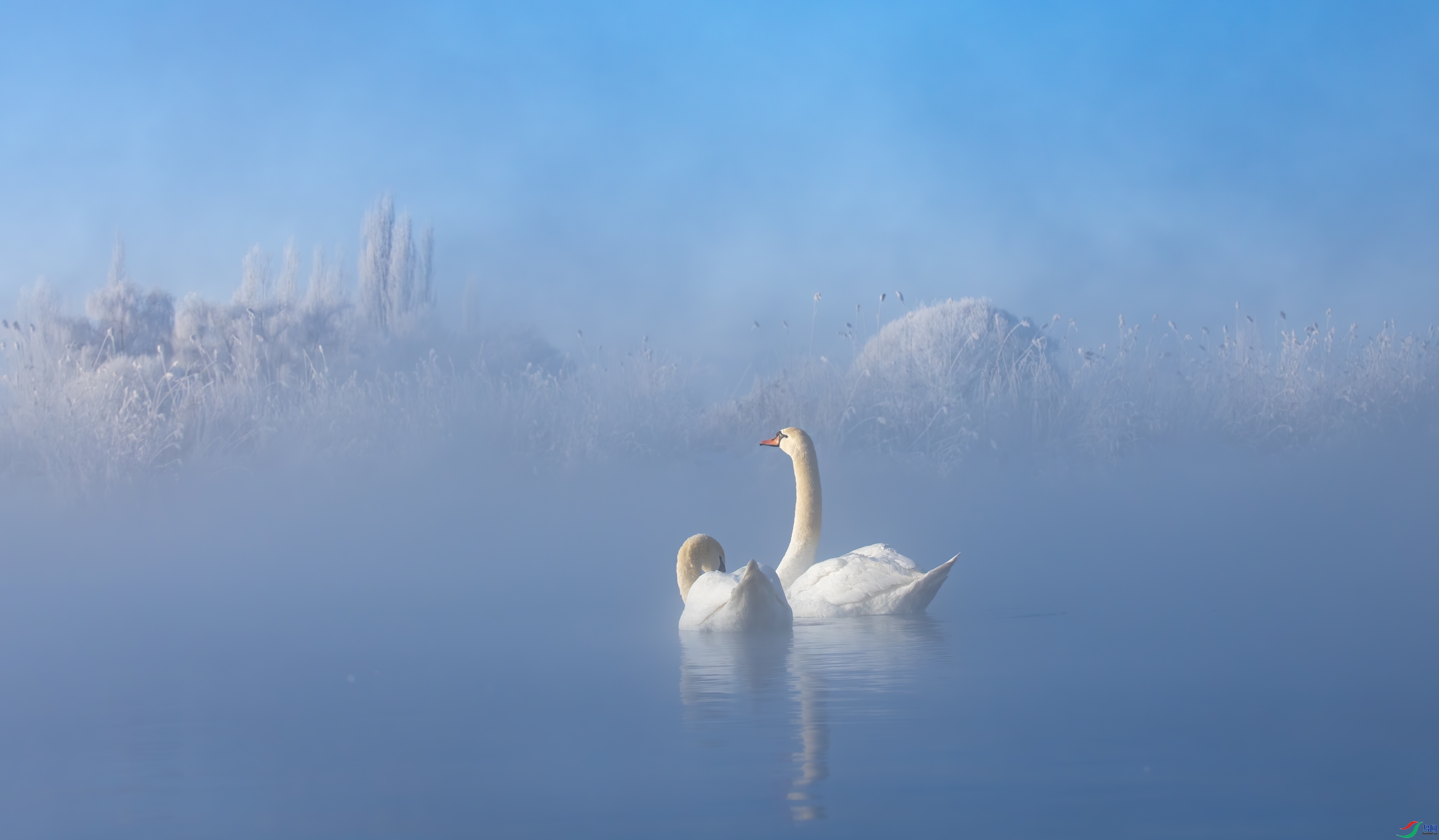 ��ٳ  ���� ��Ͽ֮�� ����.jpg