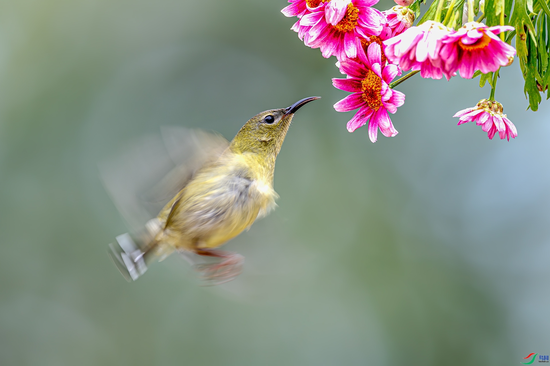 ׷��  ���� ����ǿ ����.jpg