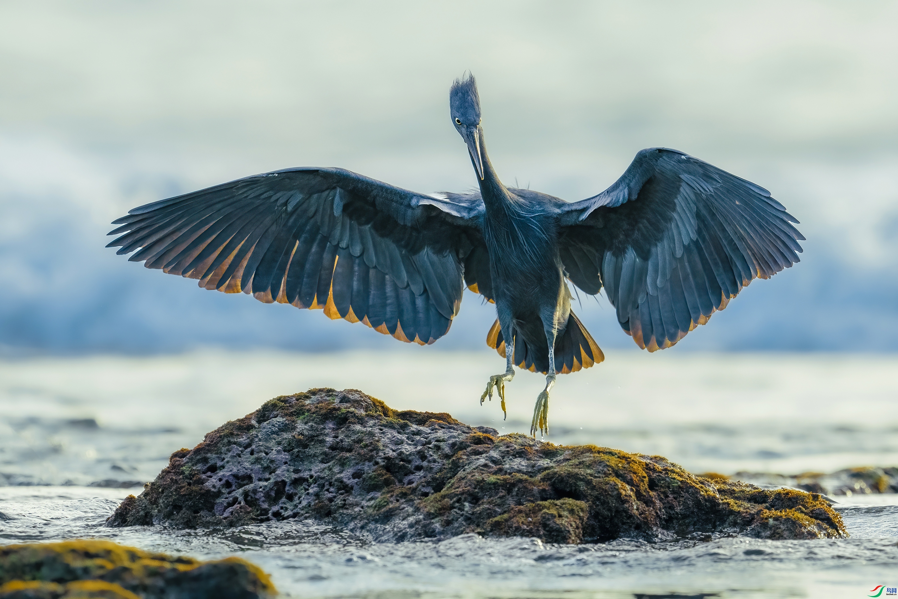 ����  ���� ����· ����.jpg