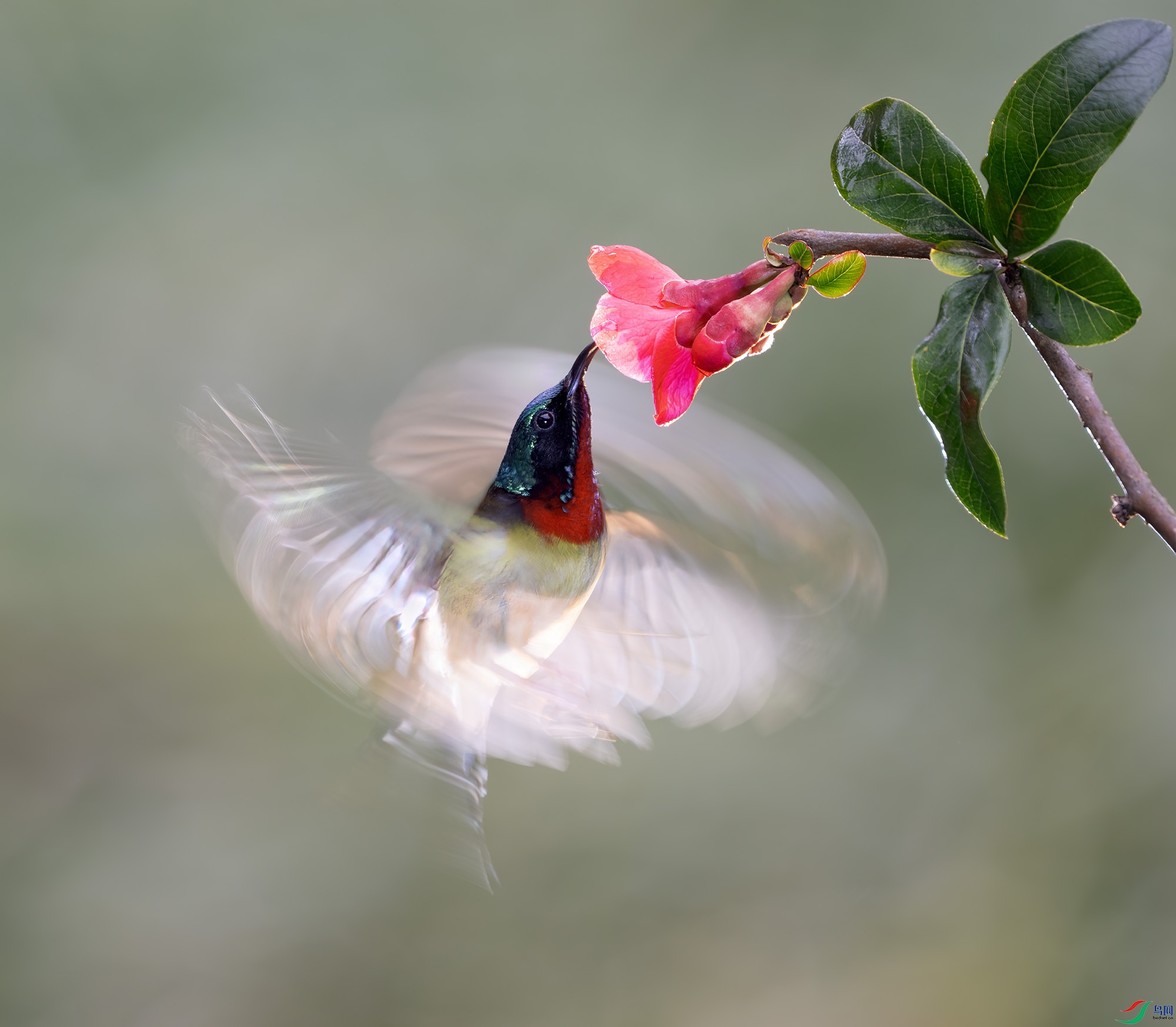 DSC_2207 ����.jpg