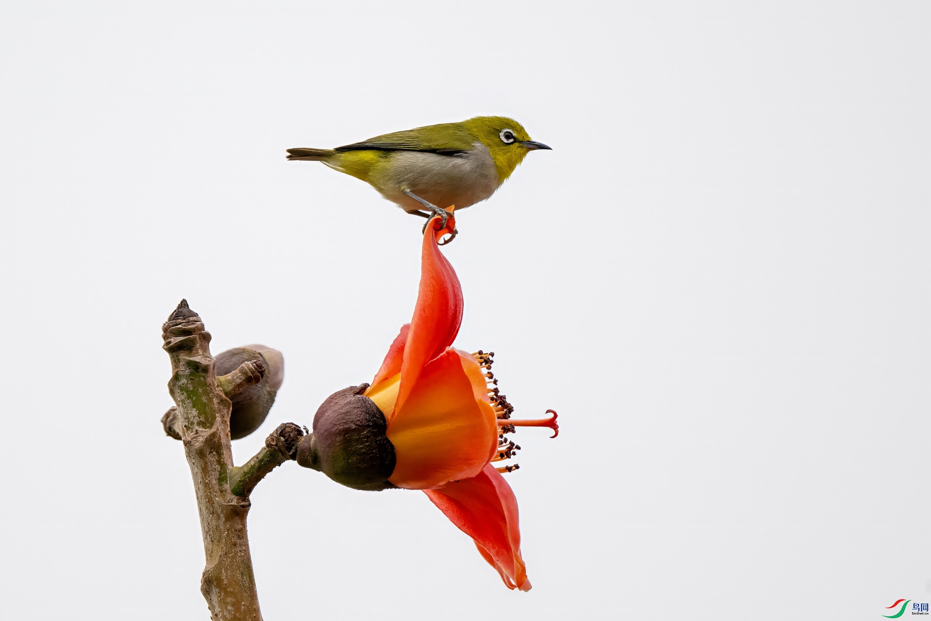 DSC_0719.jpg