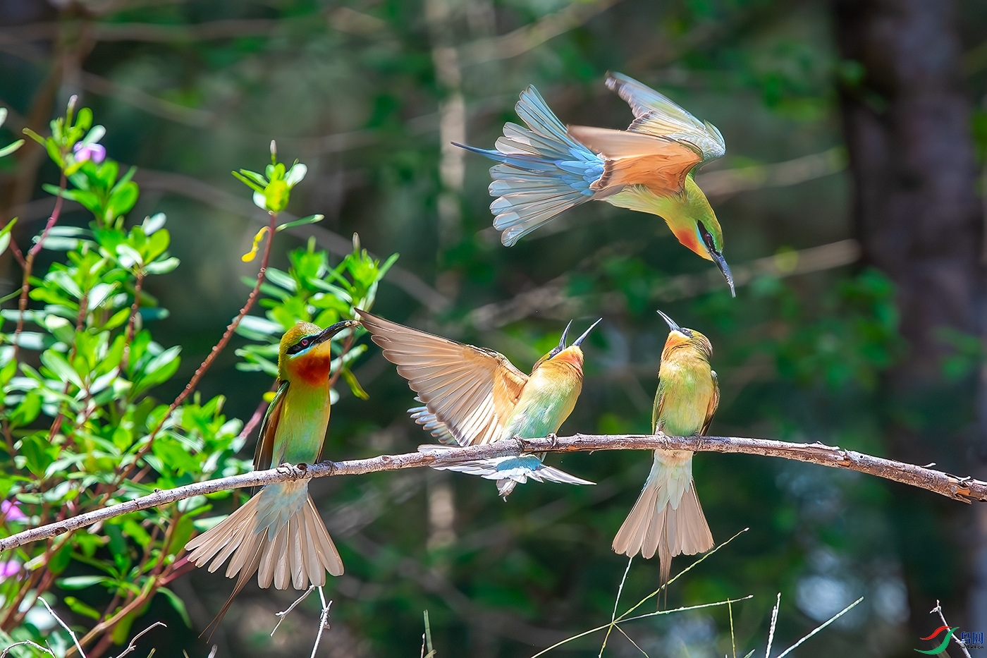 DSC_6654b.jpg