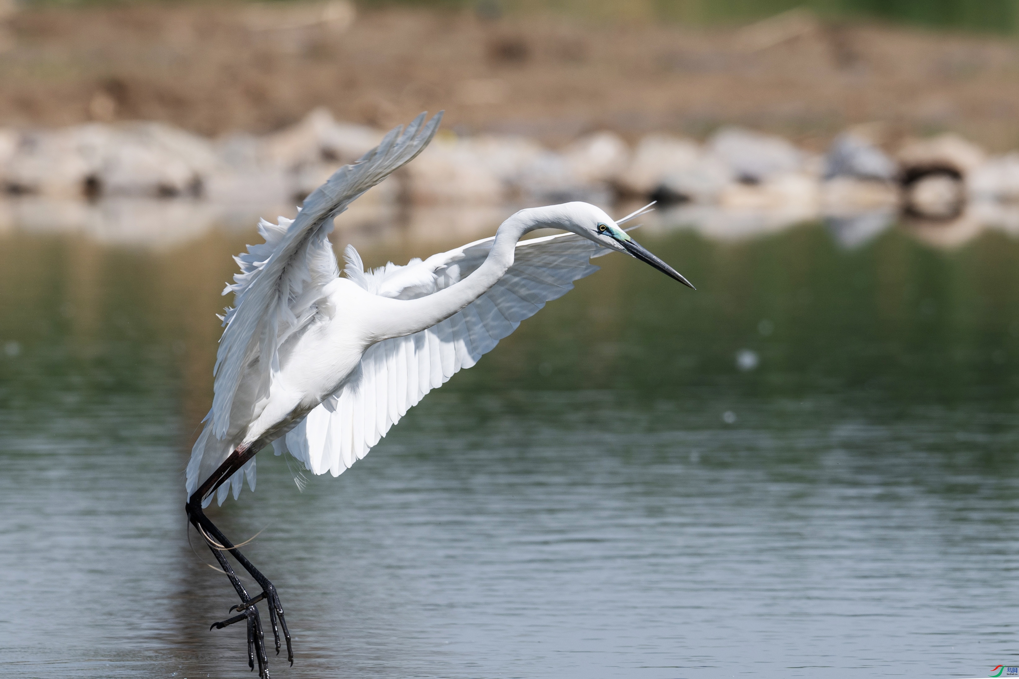 DSC_5340 ����.jpg