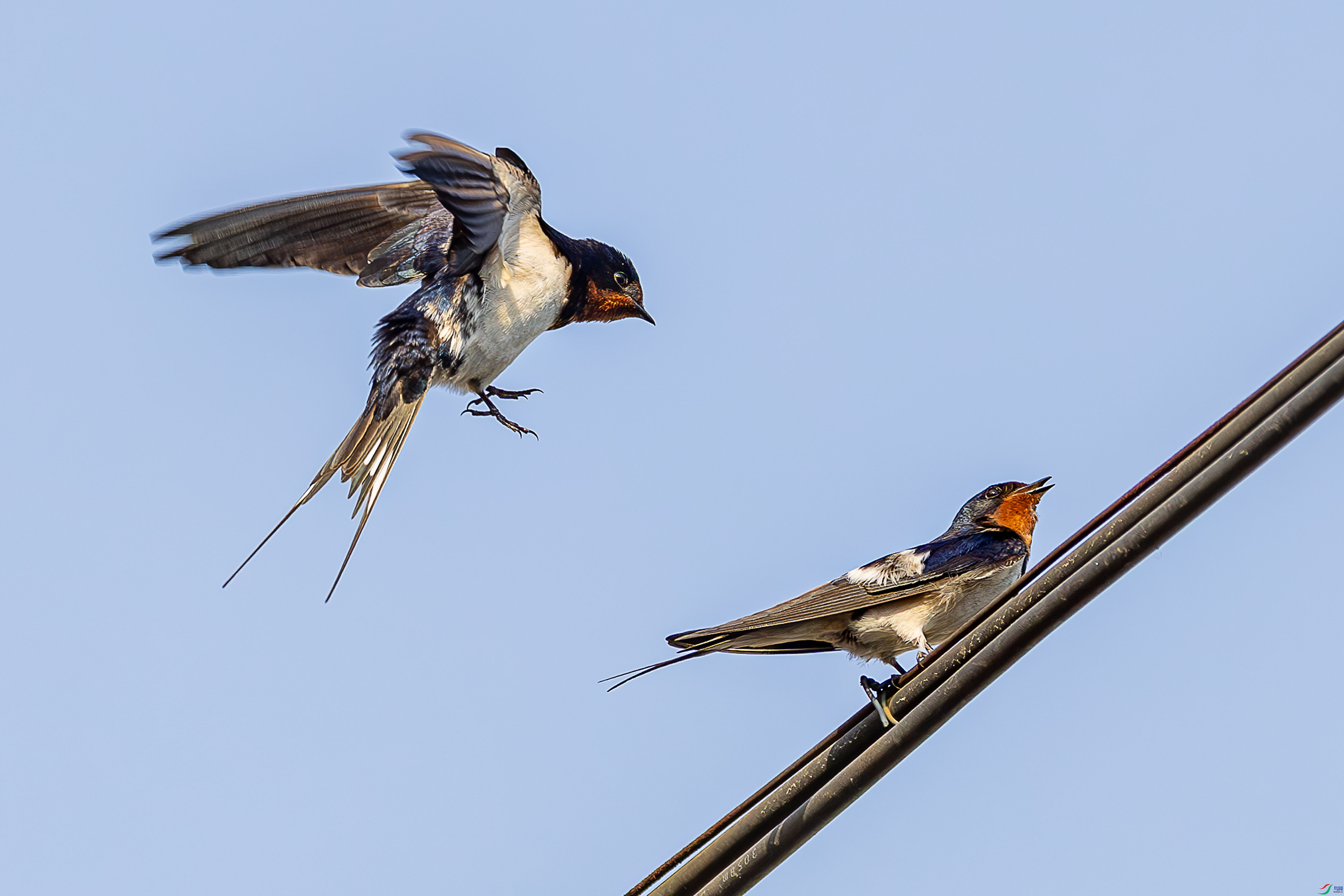 7191 ����.jpg