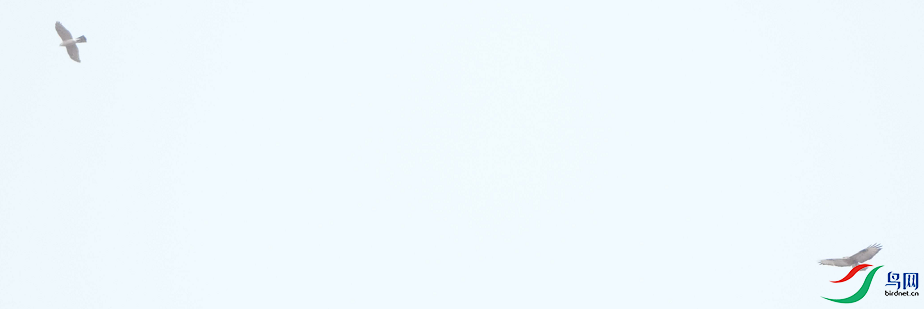 QQͼƬ20250407101938.png