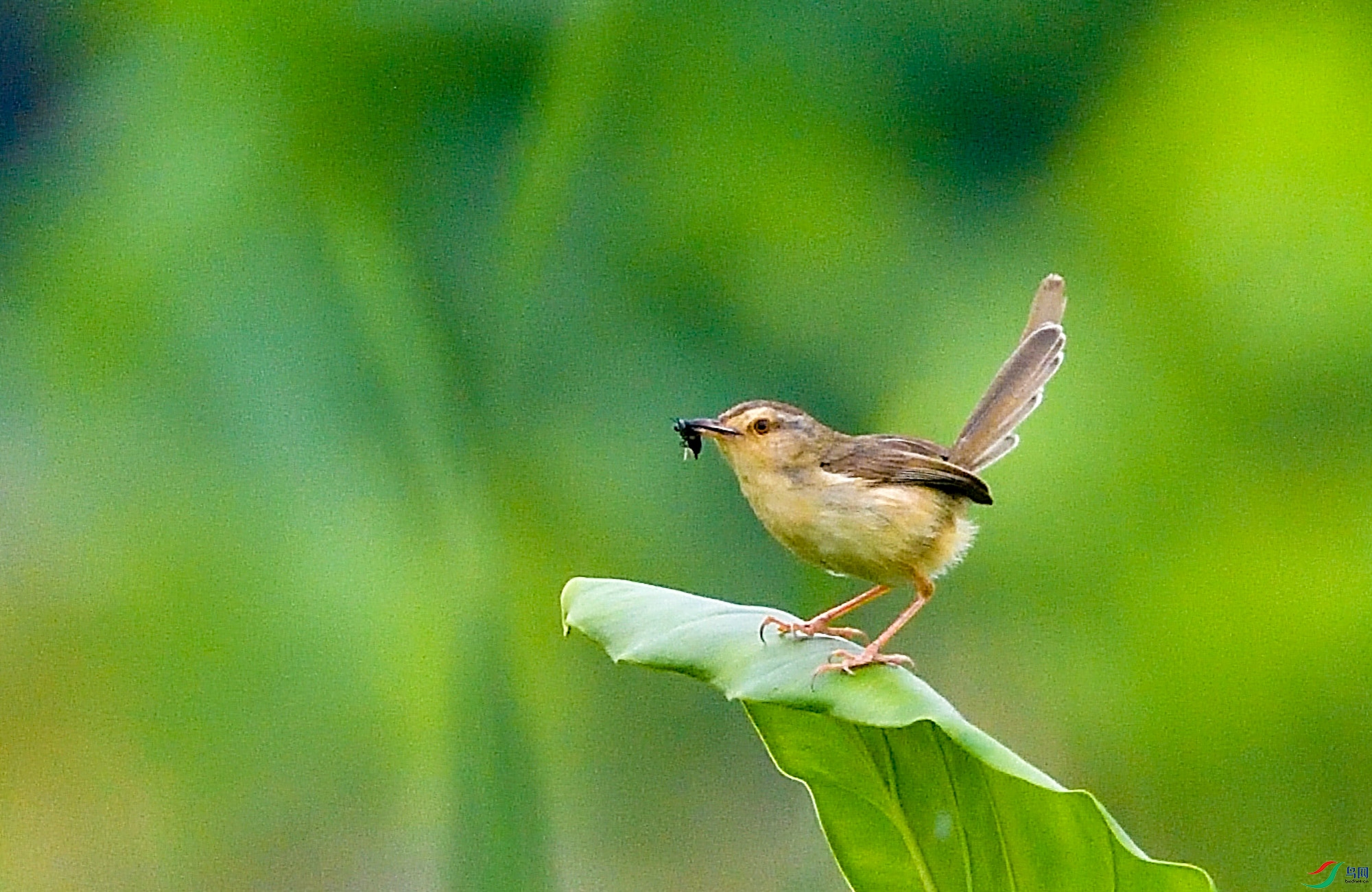 DSC_8320.jpg