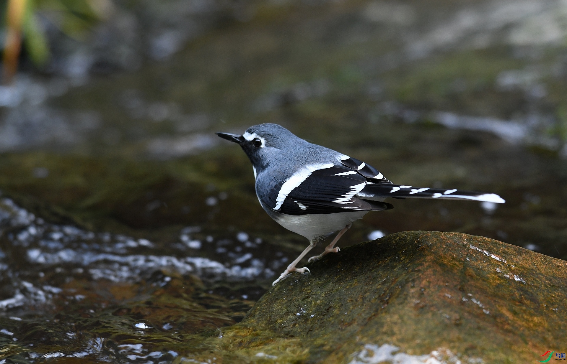 DSC_5791.jpg
