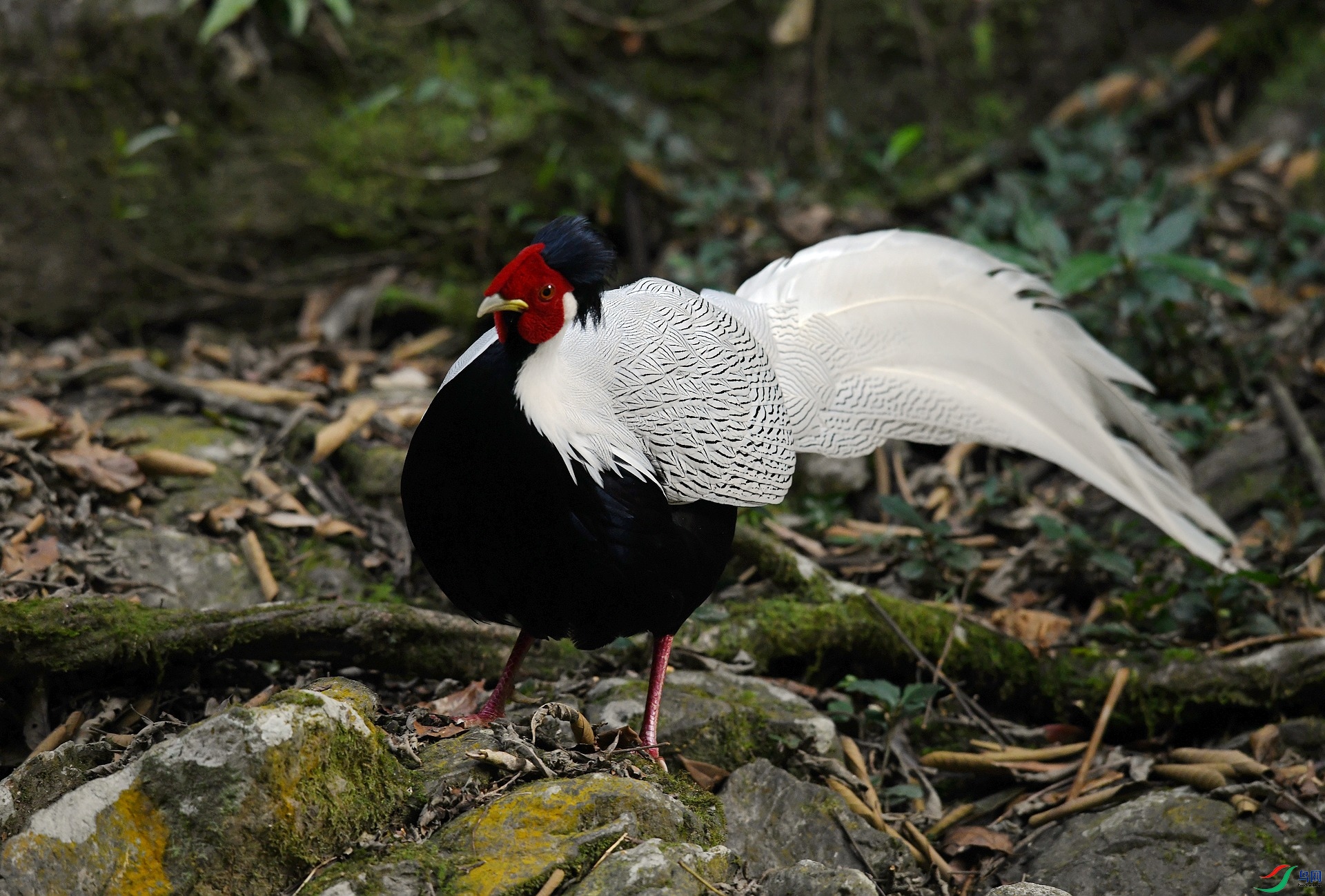 DSC_5568.jpg