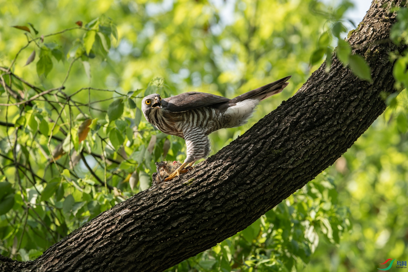 _DSC5270-NEF_DxO_DeepPRIMEXD-1.jpg