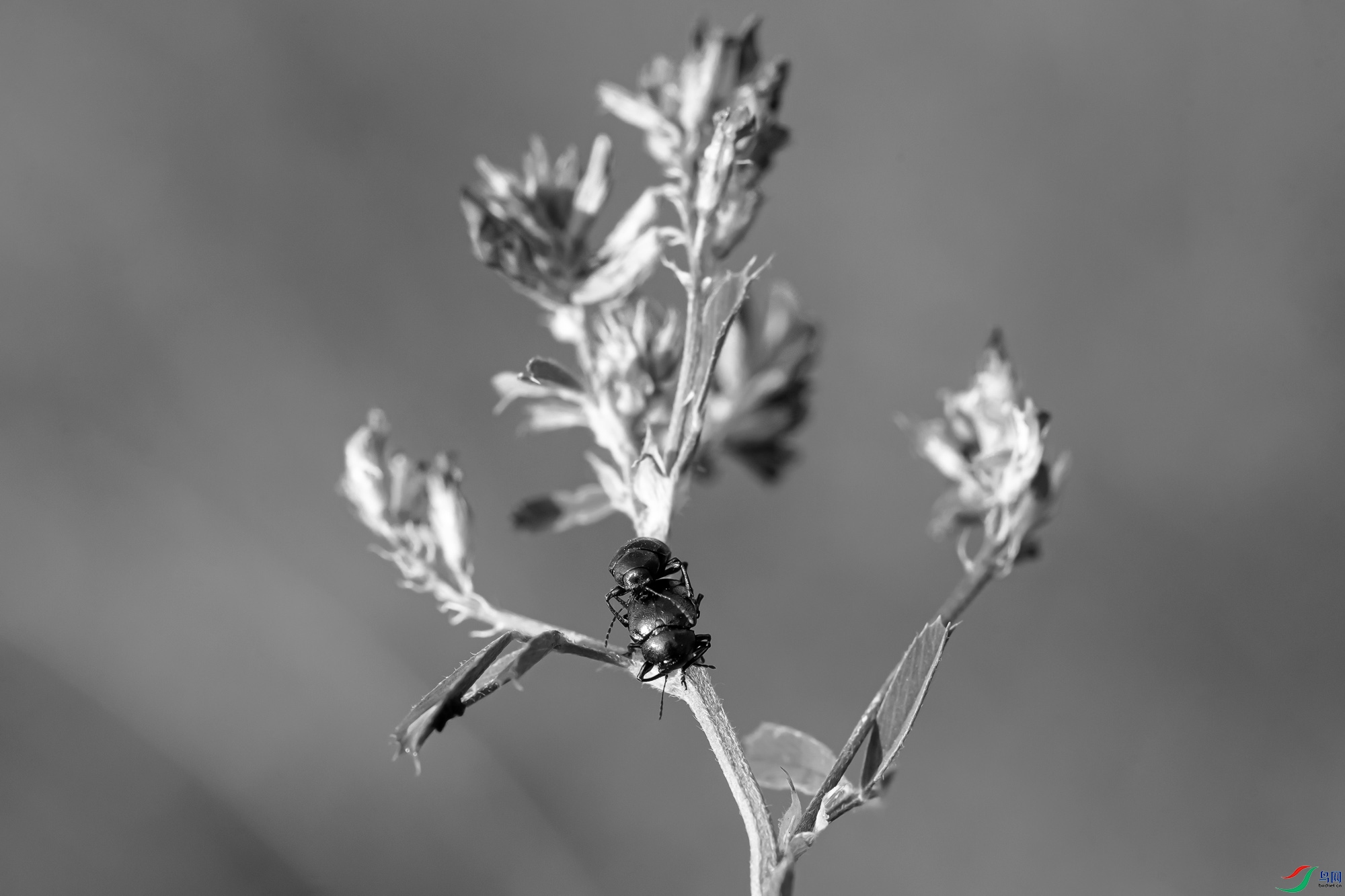 _DSC28110.jpg