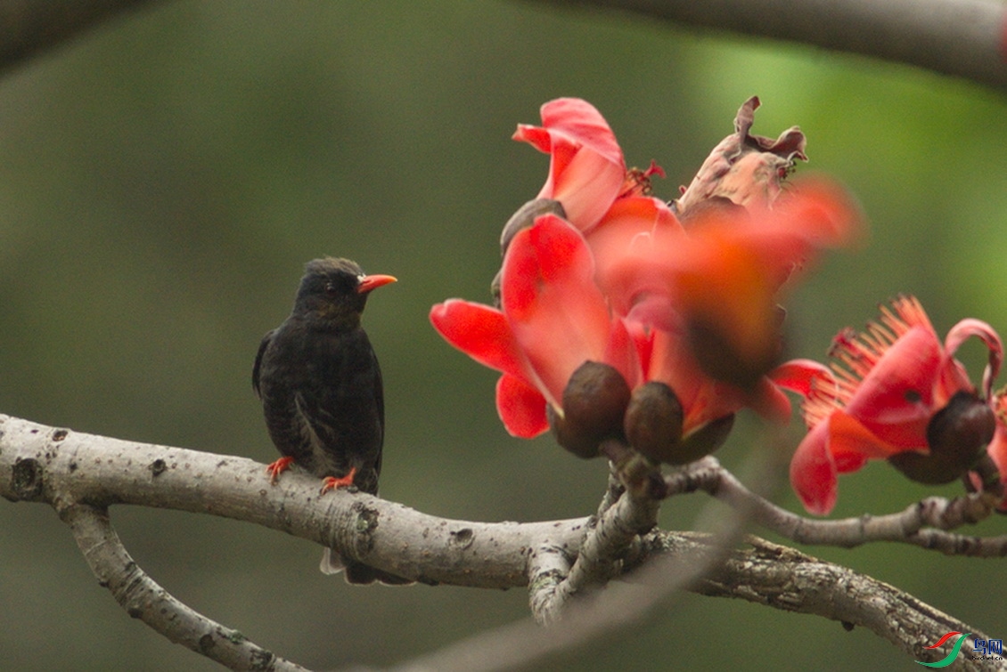 _DSC0000 (5).tifvn_������С.jpg