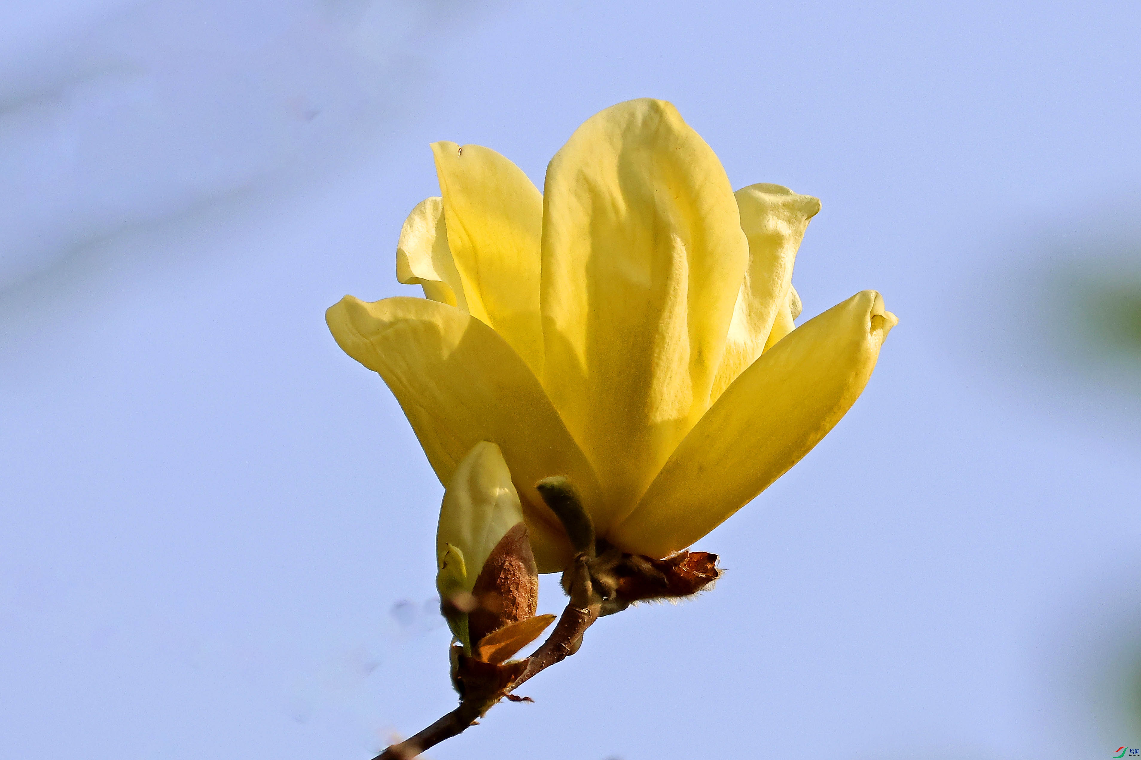 2G9A0390.JPG