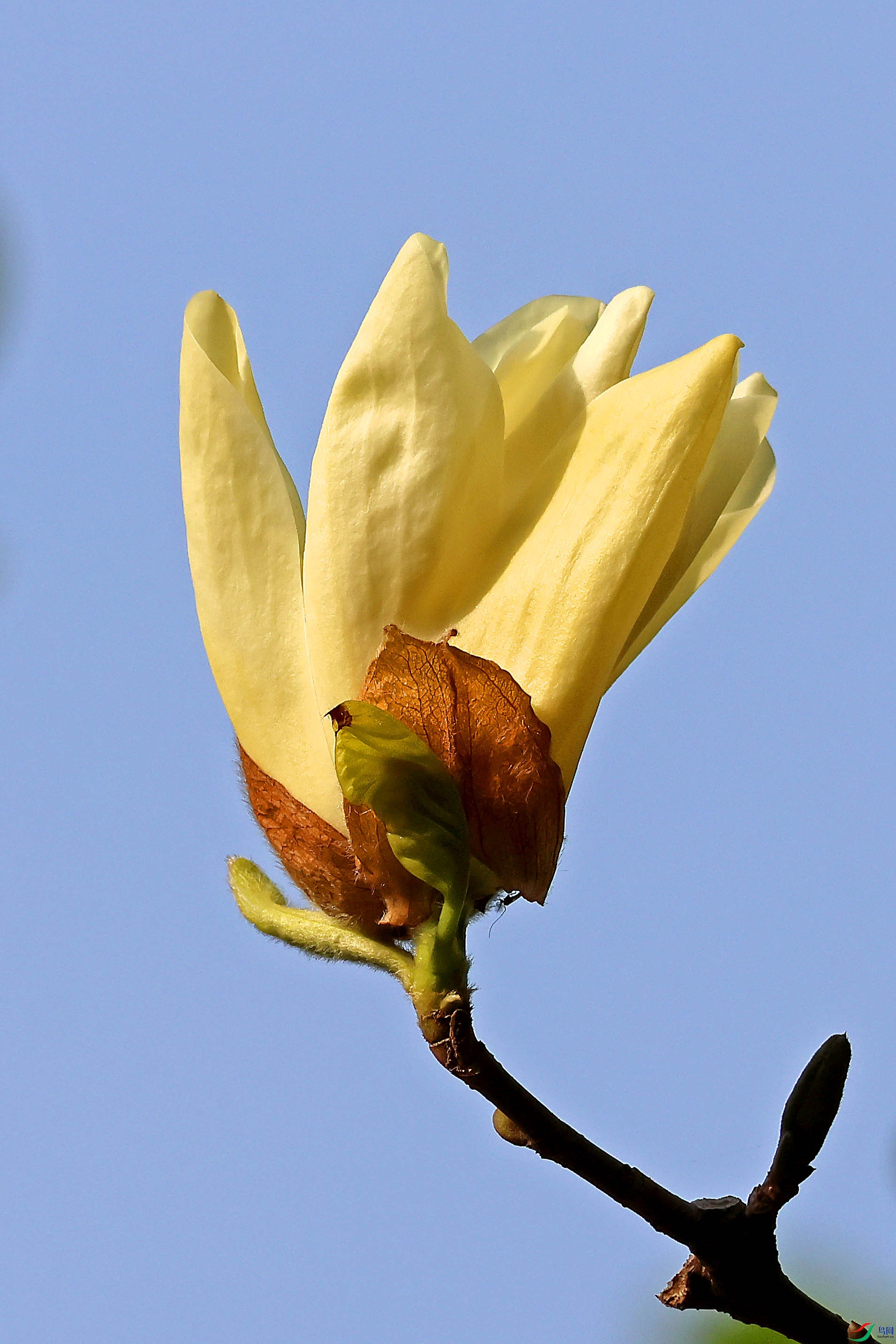 2G9A0393.JPG
