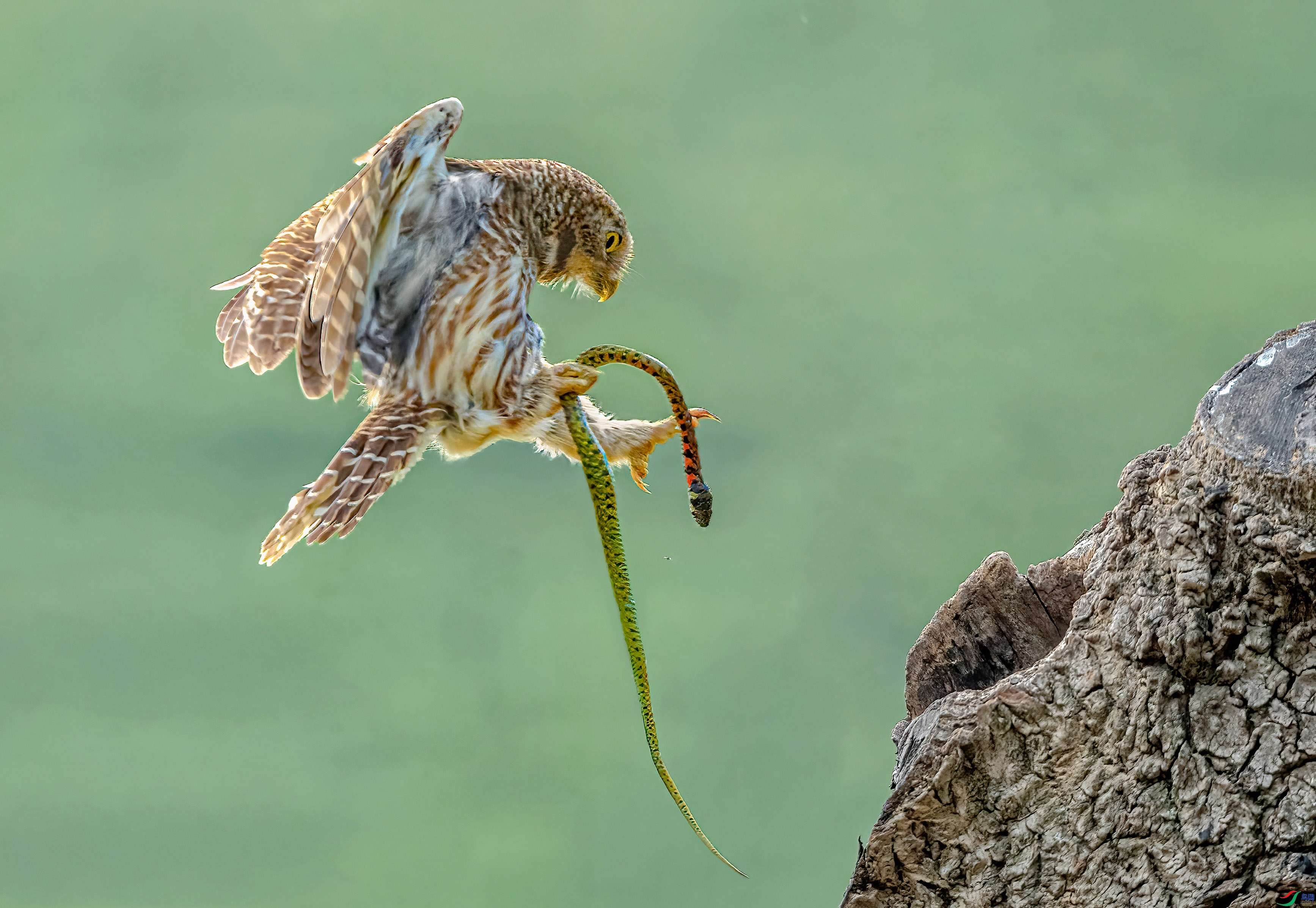 4.2С������ʦ��Ʒ   �üһ���� ��ף���ٻ����������.jpg