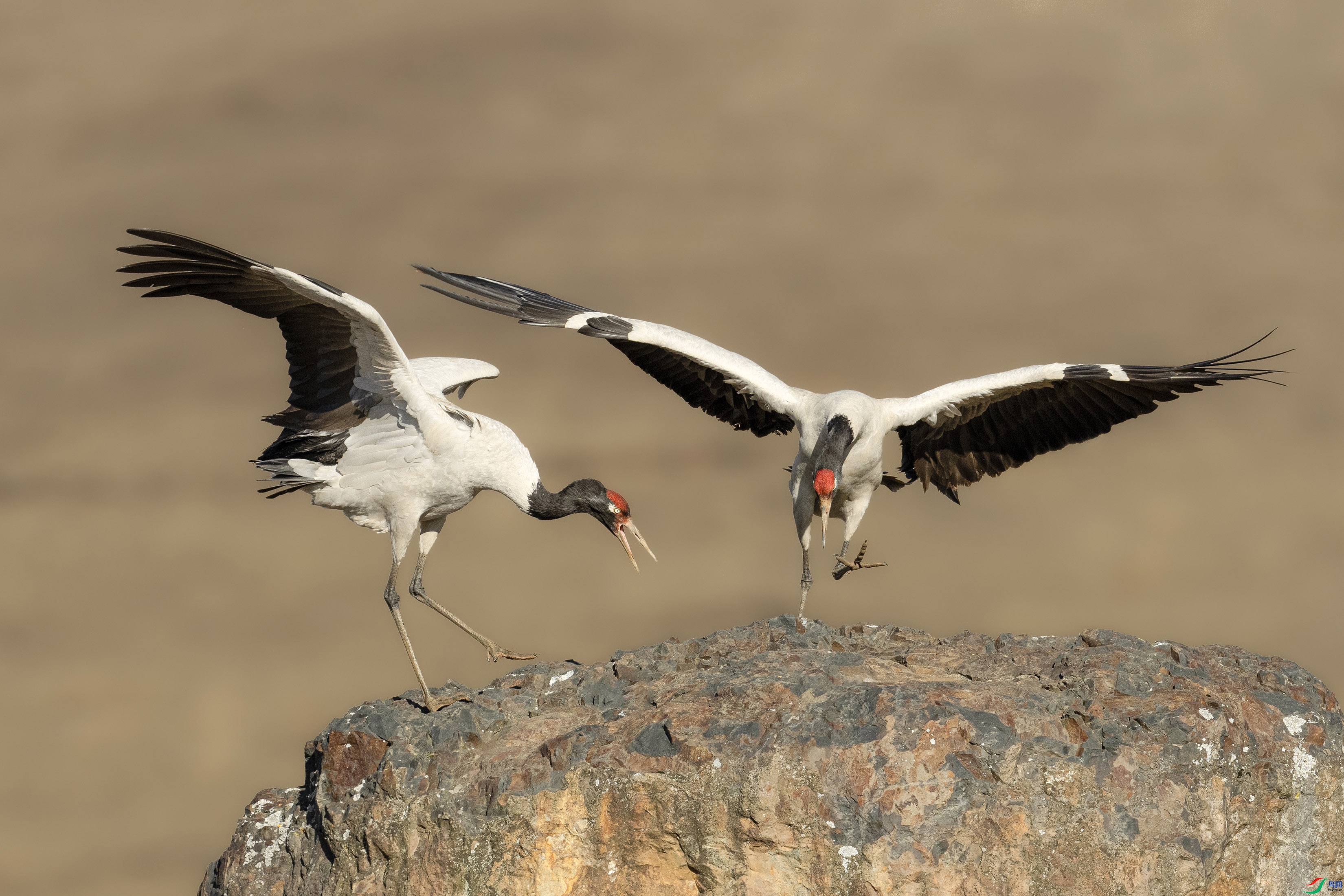 4.5����·��ʦ��Ʒ   ���֮�� ��ף���ٻ����������.jpg