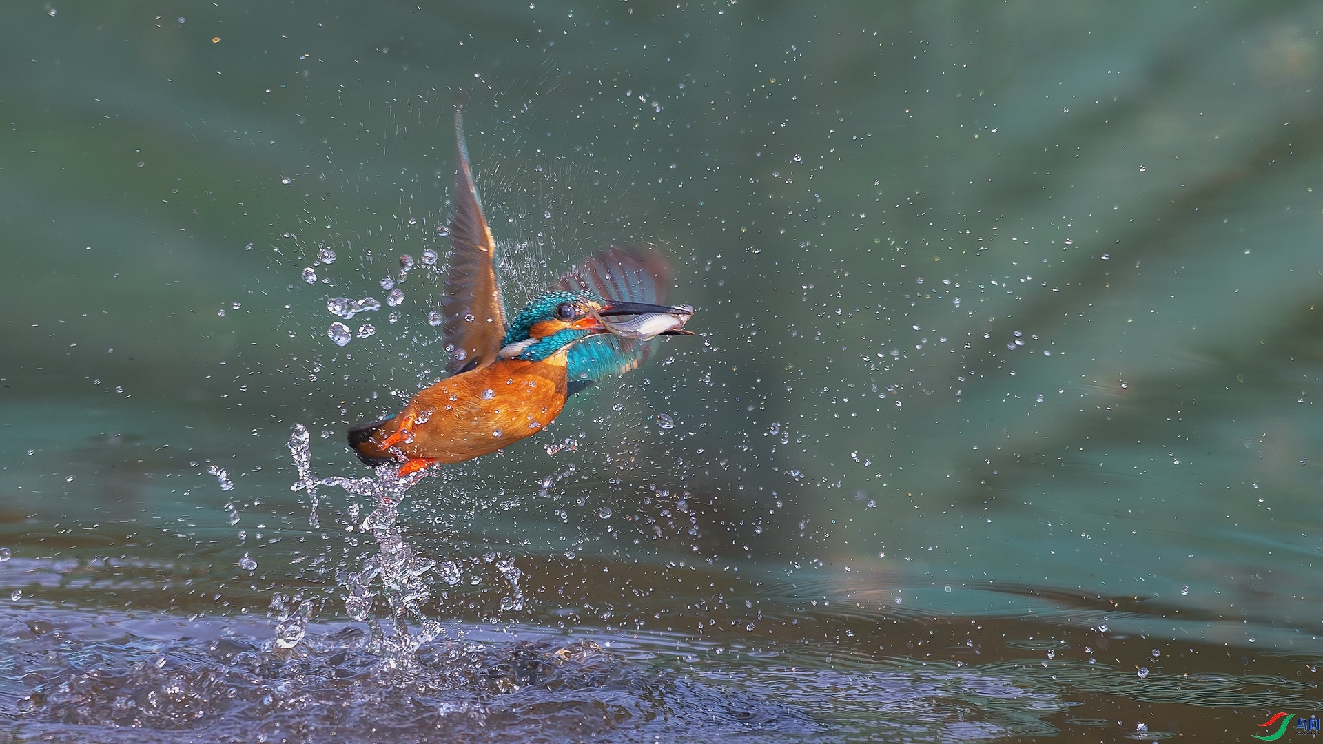 4.6�ƽ�Ҷ��ʦ��Ʒ   ���� ��ף���ٻ����Ѿ�����.jpg