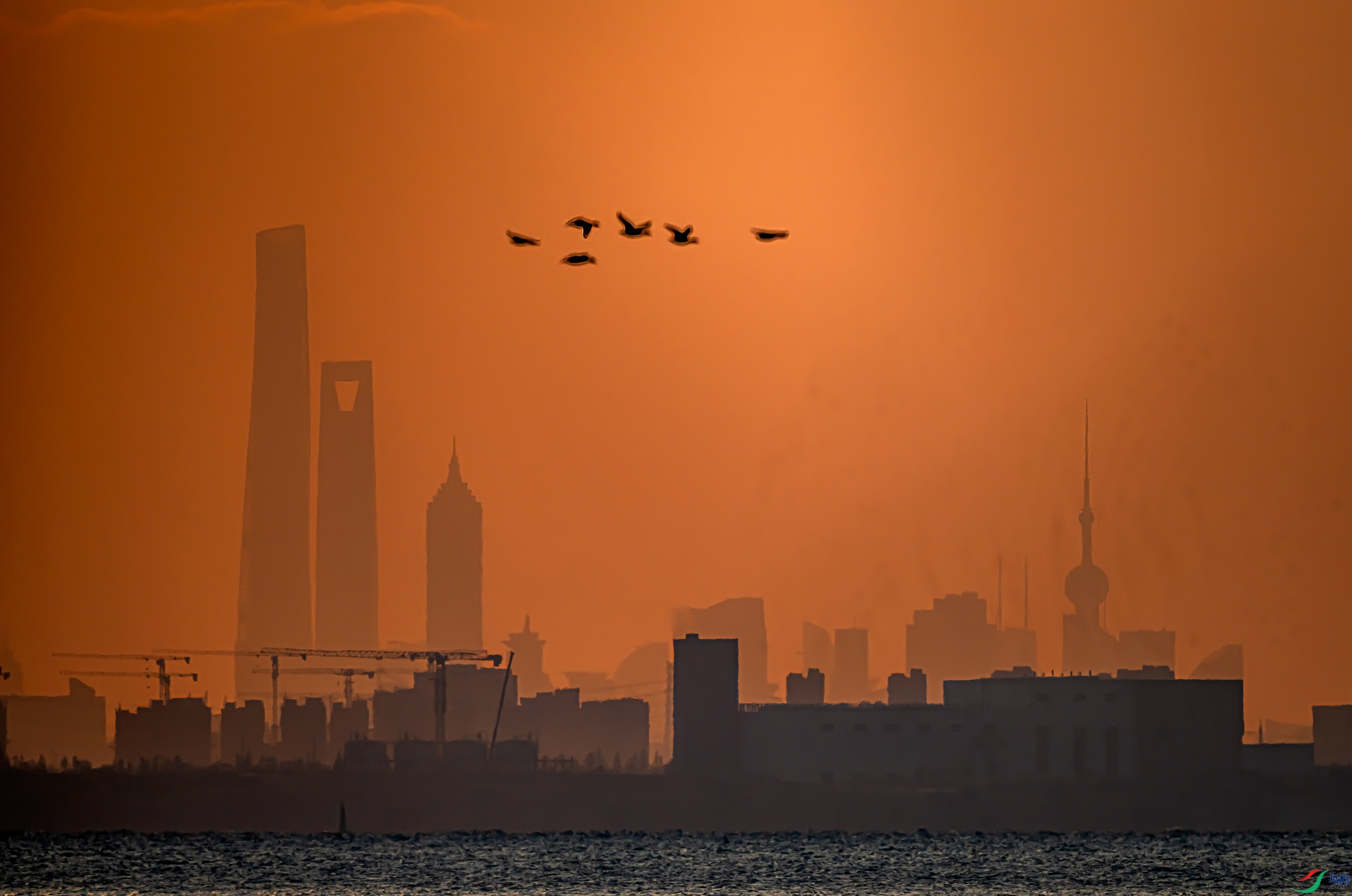 DSC_4096-11`.jpg