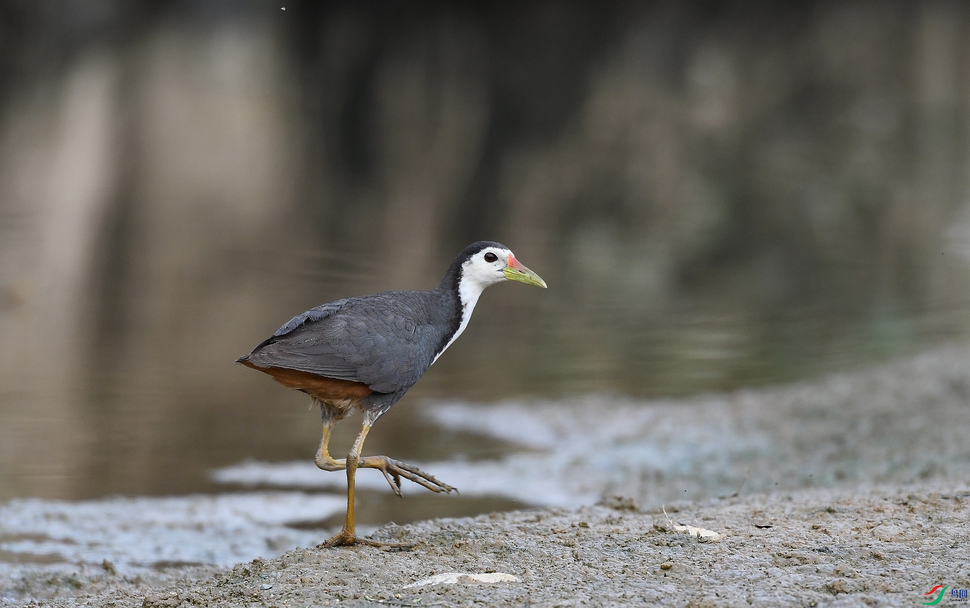 DSC_7984.jpg