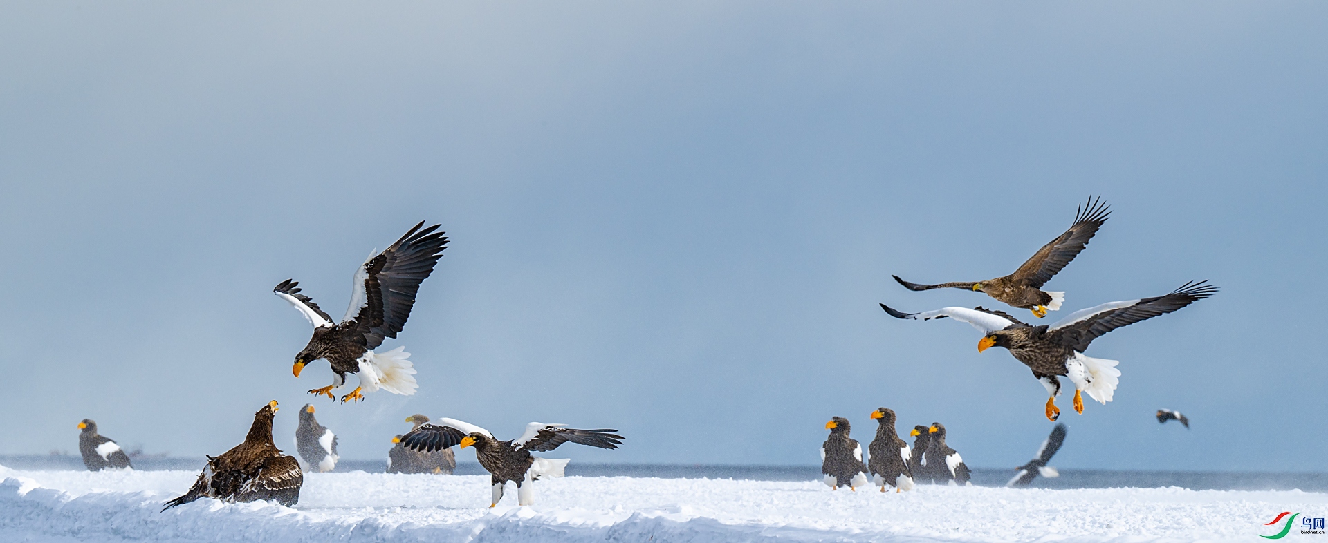 _DSC3099-2w.jpg