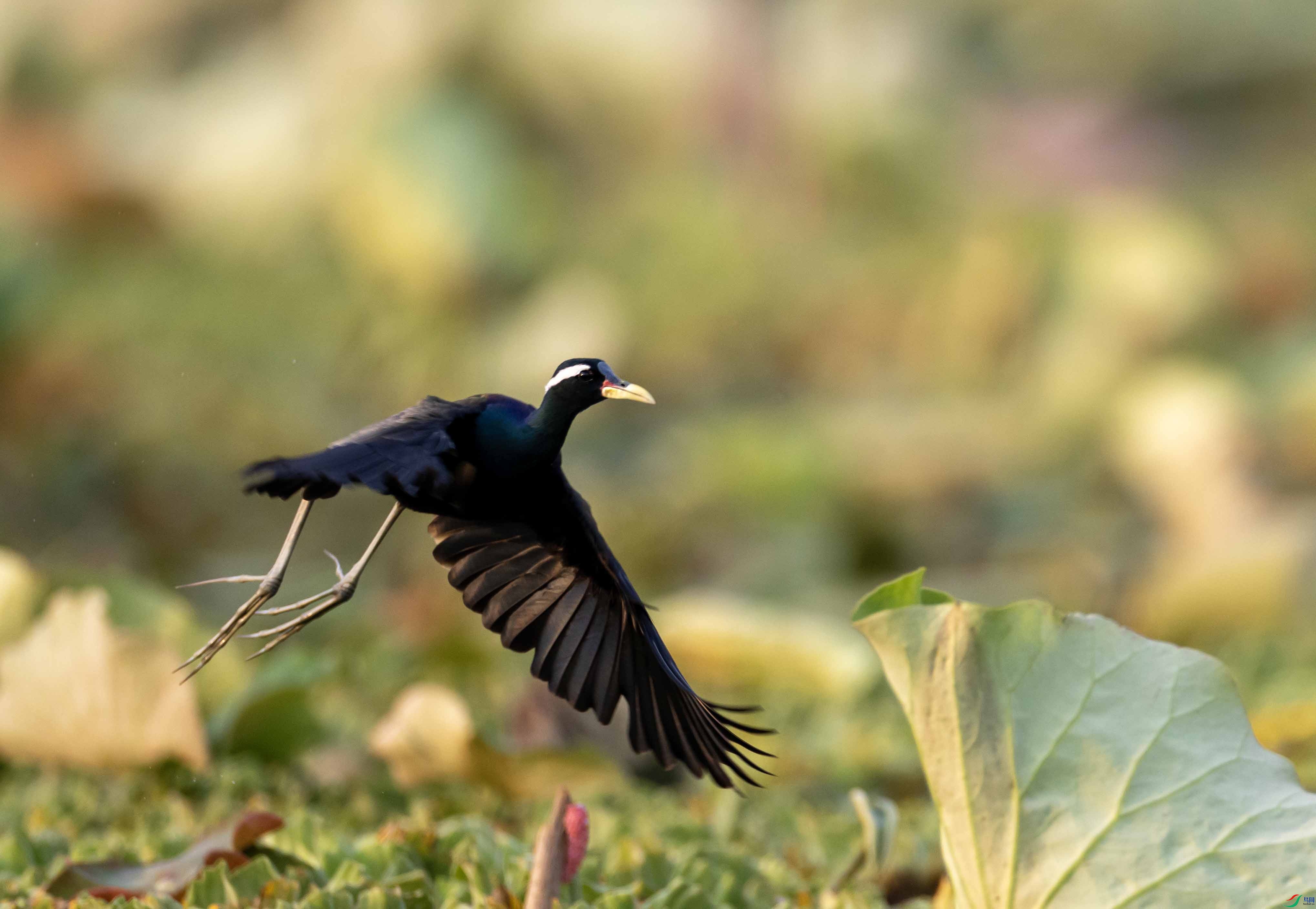 1-xt4L2A0317 ����.jpg