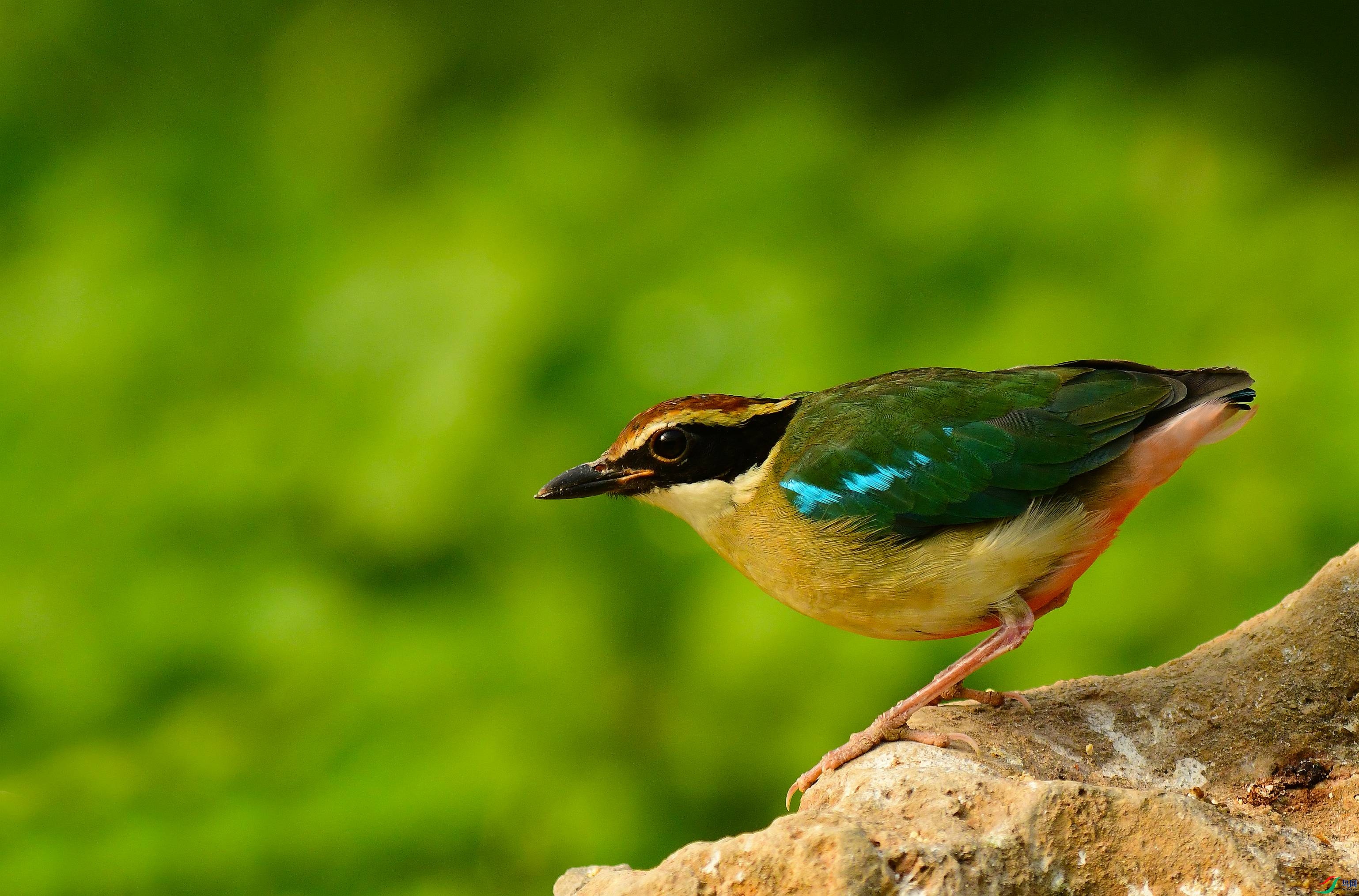 DSC_9763.JPG