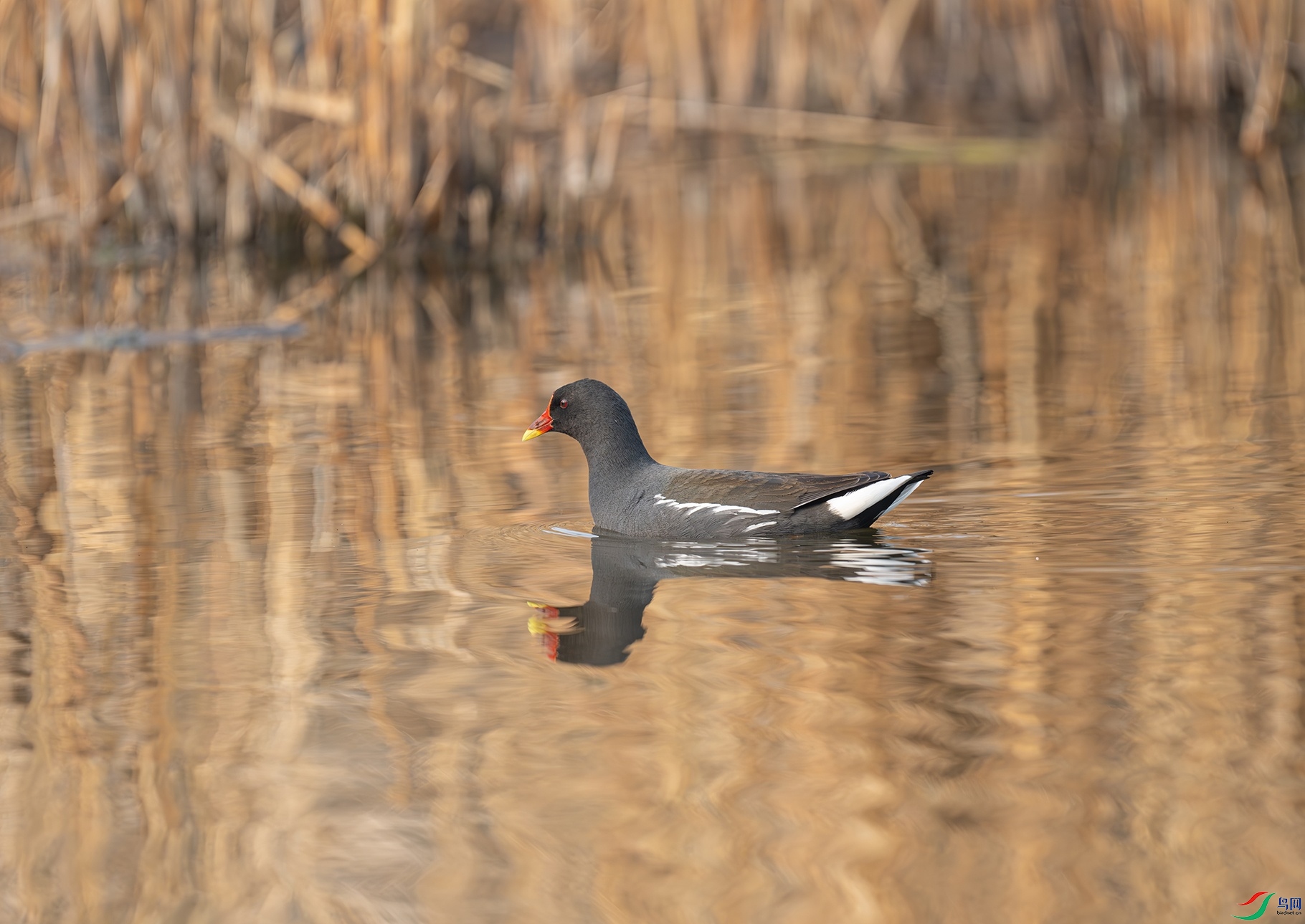 DSC_7200f.jpg